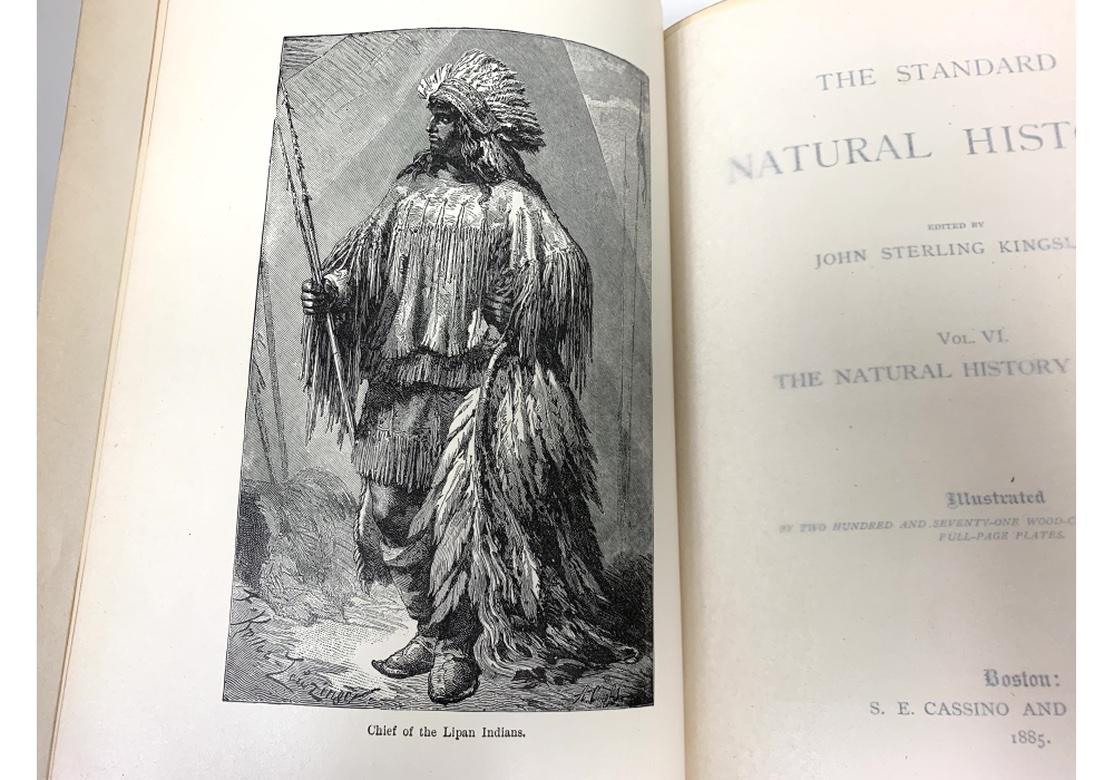 Volume VI Standard Nature 1885 in vendita 5