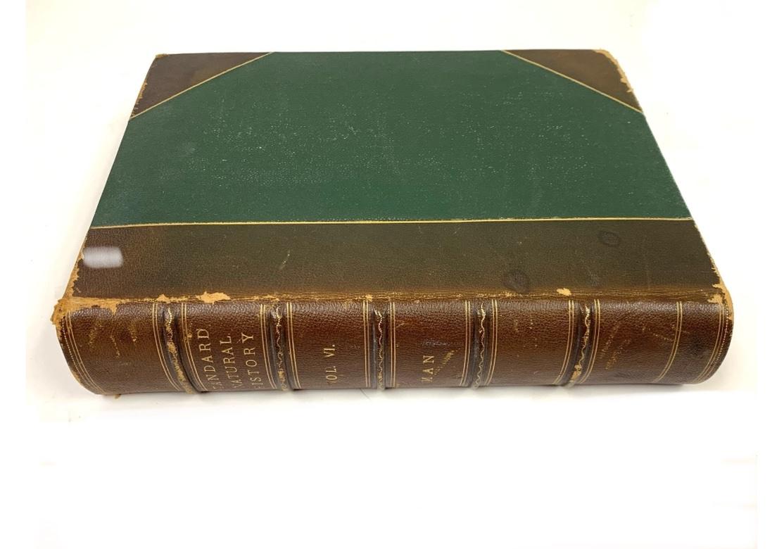 Affascinante volume antico, 