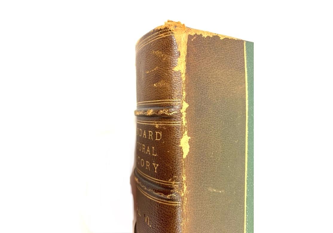 Volume VI Standard Nature 1885 In condizioni deteriorate in vendita a Bridgeport, CT
