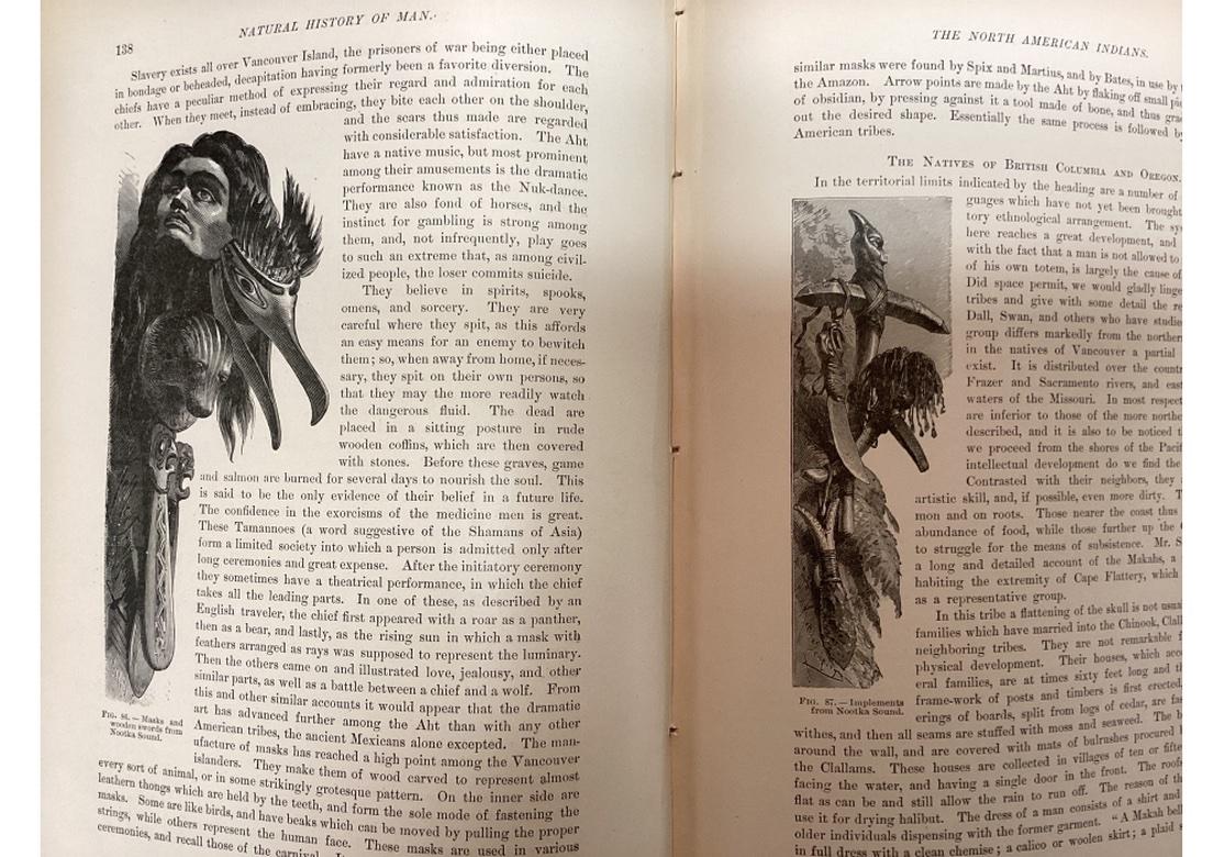 Volume VI Standard Nature 1885 in vendita 3