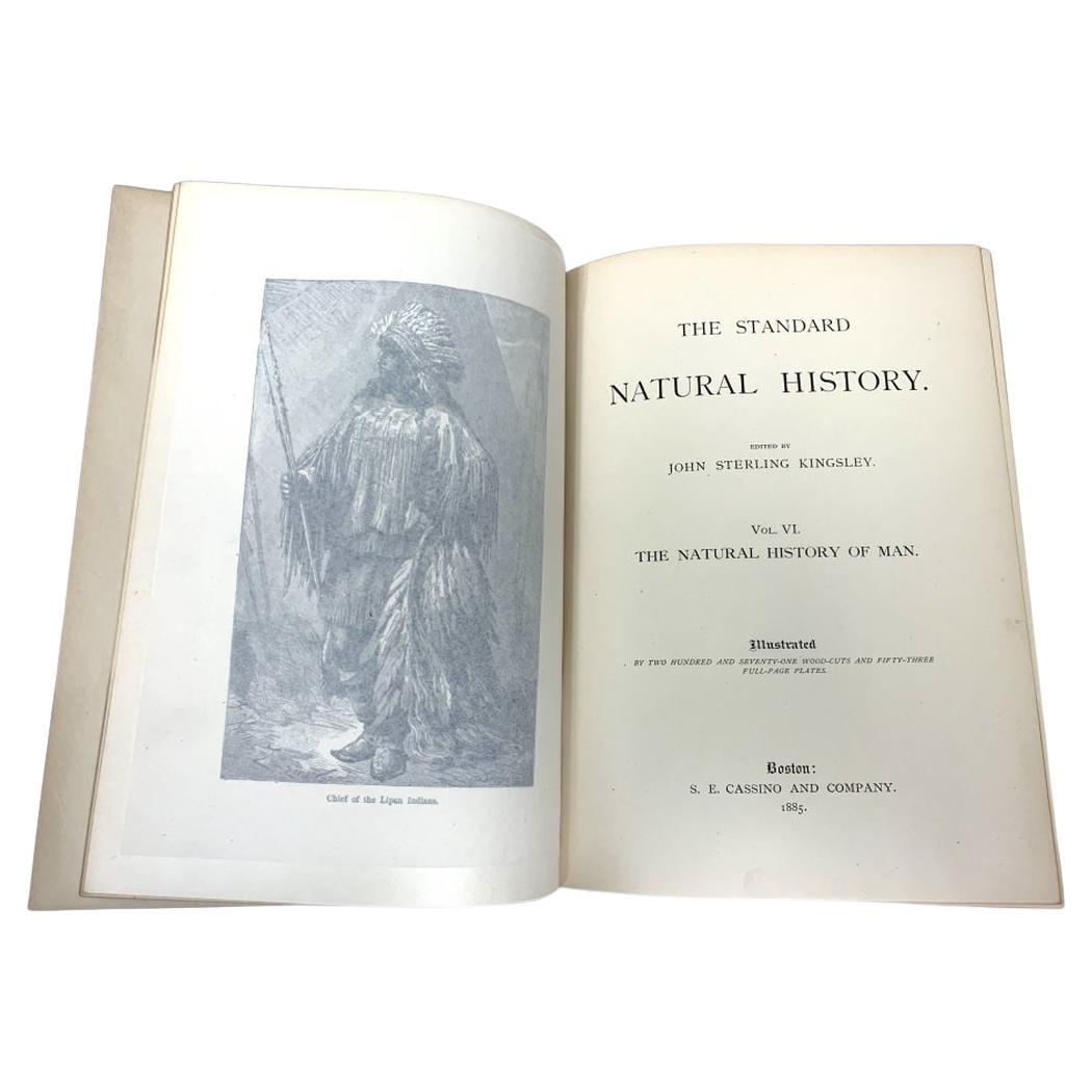 Volume VI Standard Natural History 1885