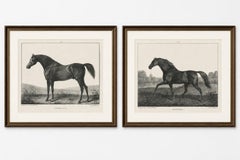 Volunteer & Selim – Pair of Antique Thoroughbred Horse Lithographs, c.1840