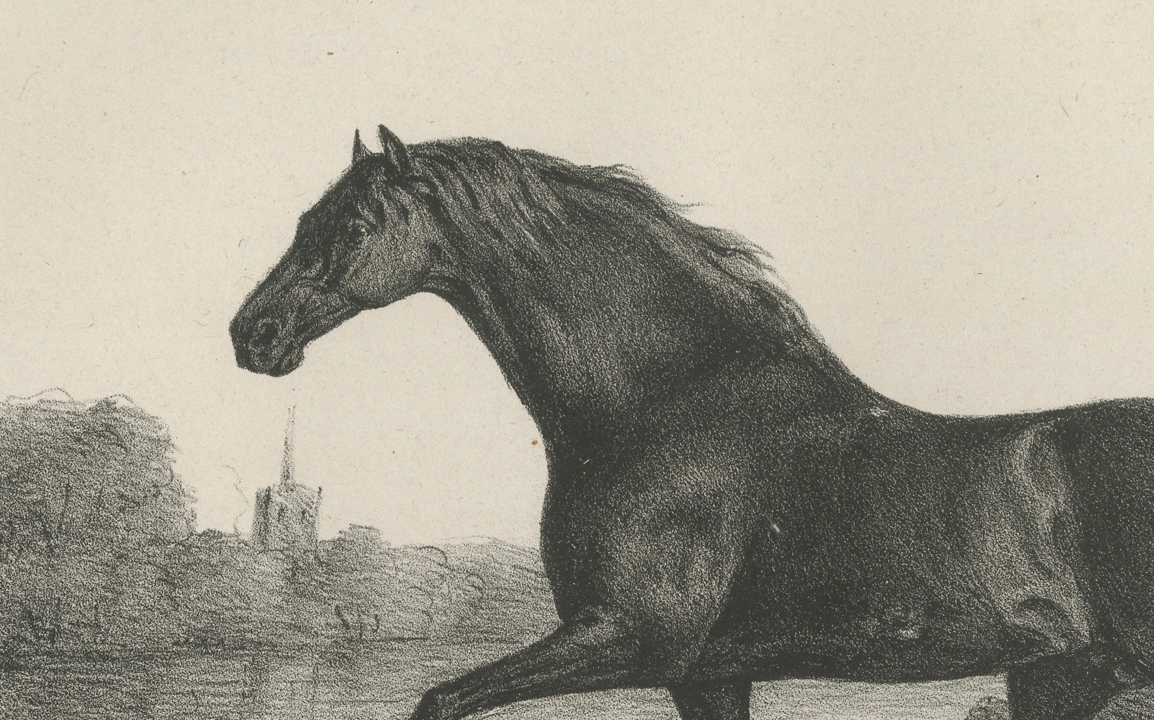 Volunteer & Selim – Pair of Antique Thoroughbred Horse Lithographs, c.1840