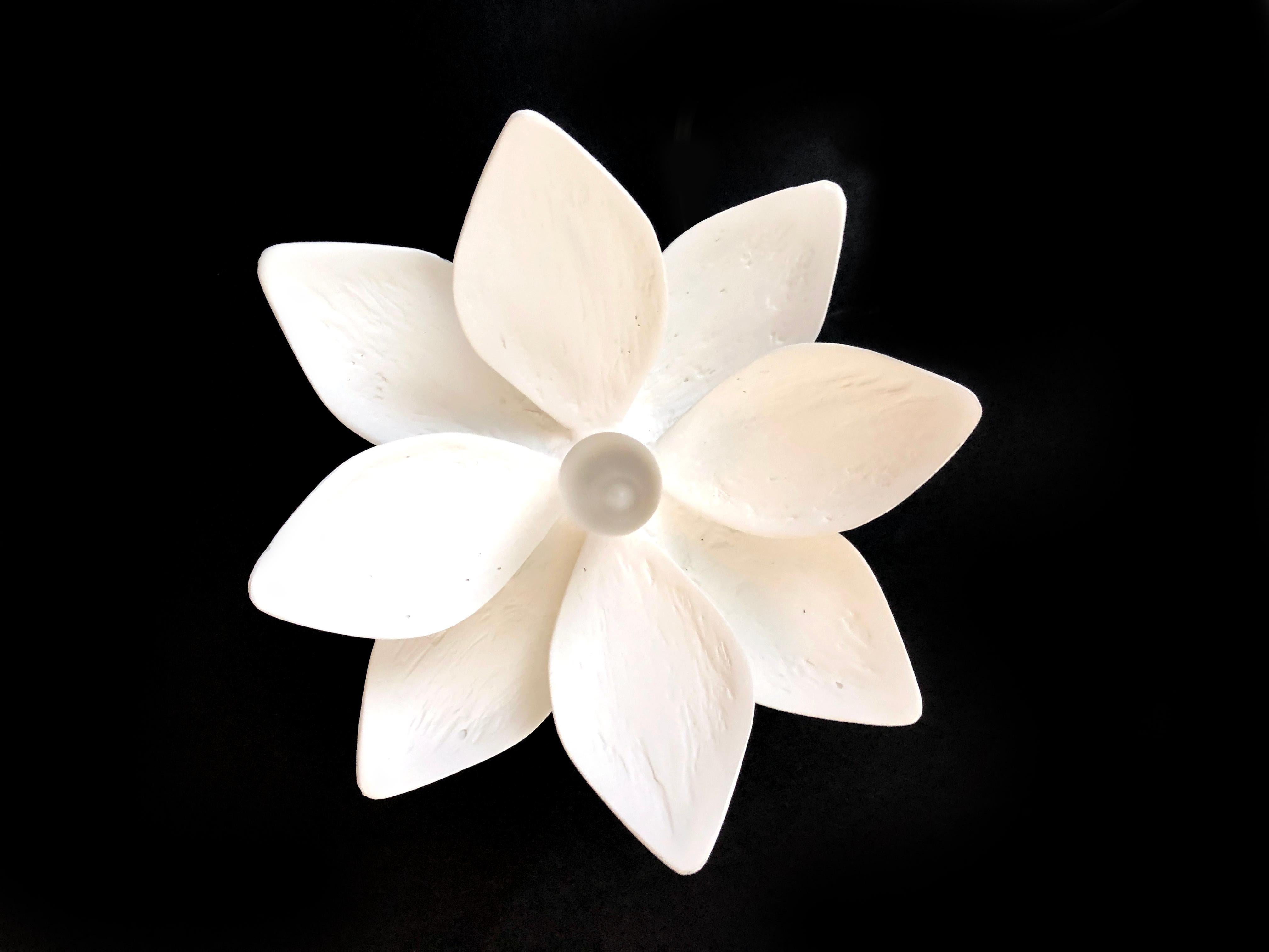 Cette applique simple, mais ornée, présente notre finition signature en plâtre de Paris. Sa fleur de magnolia fera entrer la nature à l'intérieur et a été conçue pour compléter notre lustre Vosges. Cette applique polyvalente accentuera la beauté de