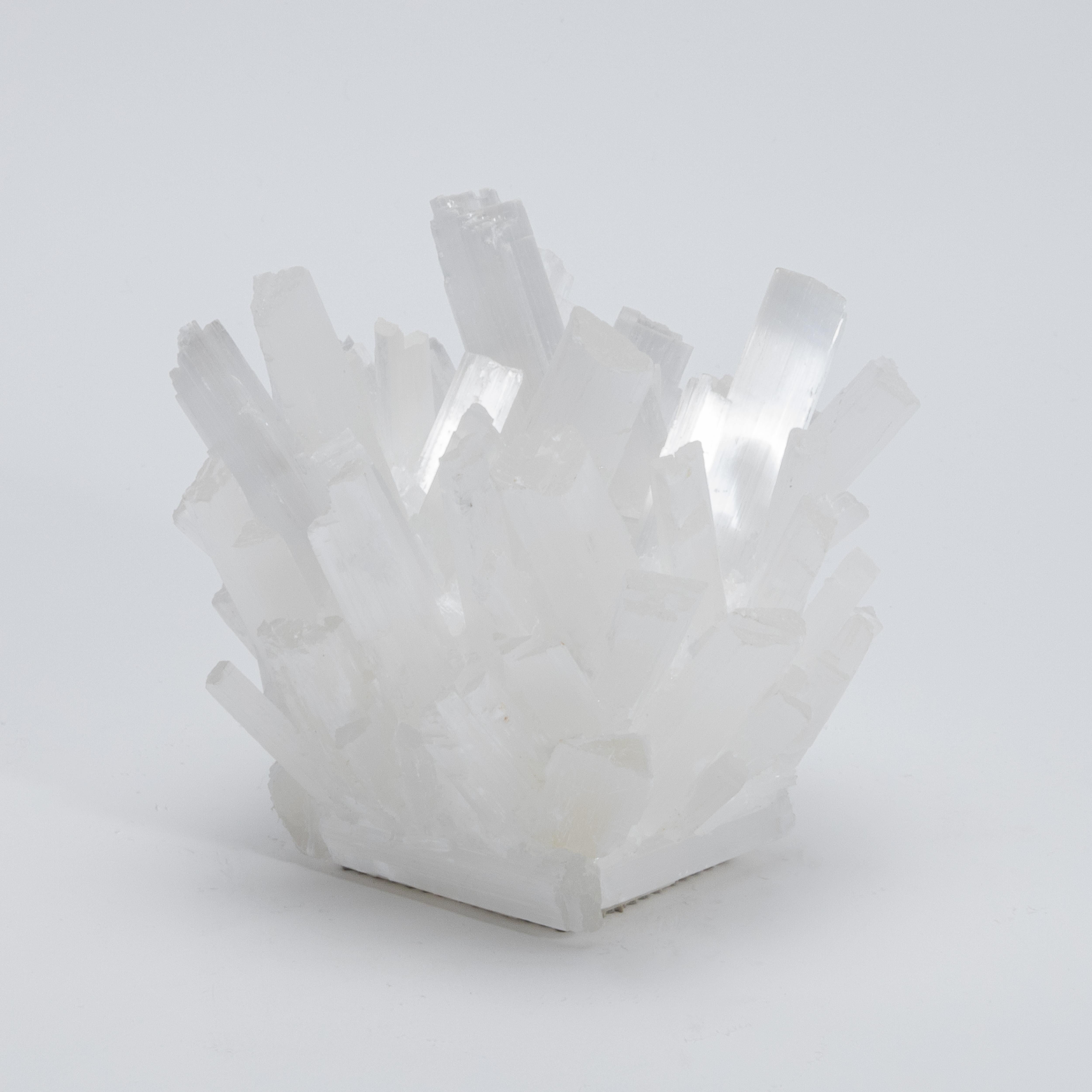 Moderno Portavoci in selenite classica di Kathryn McCoy in vendita