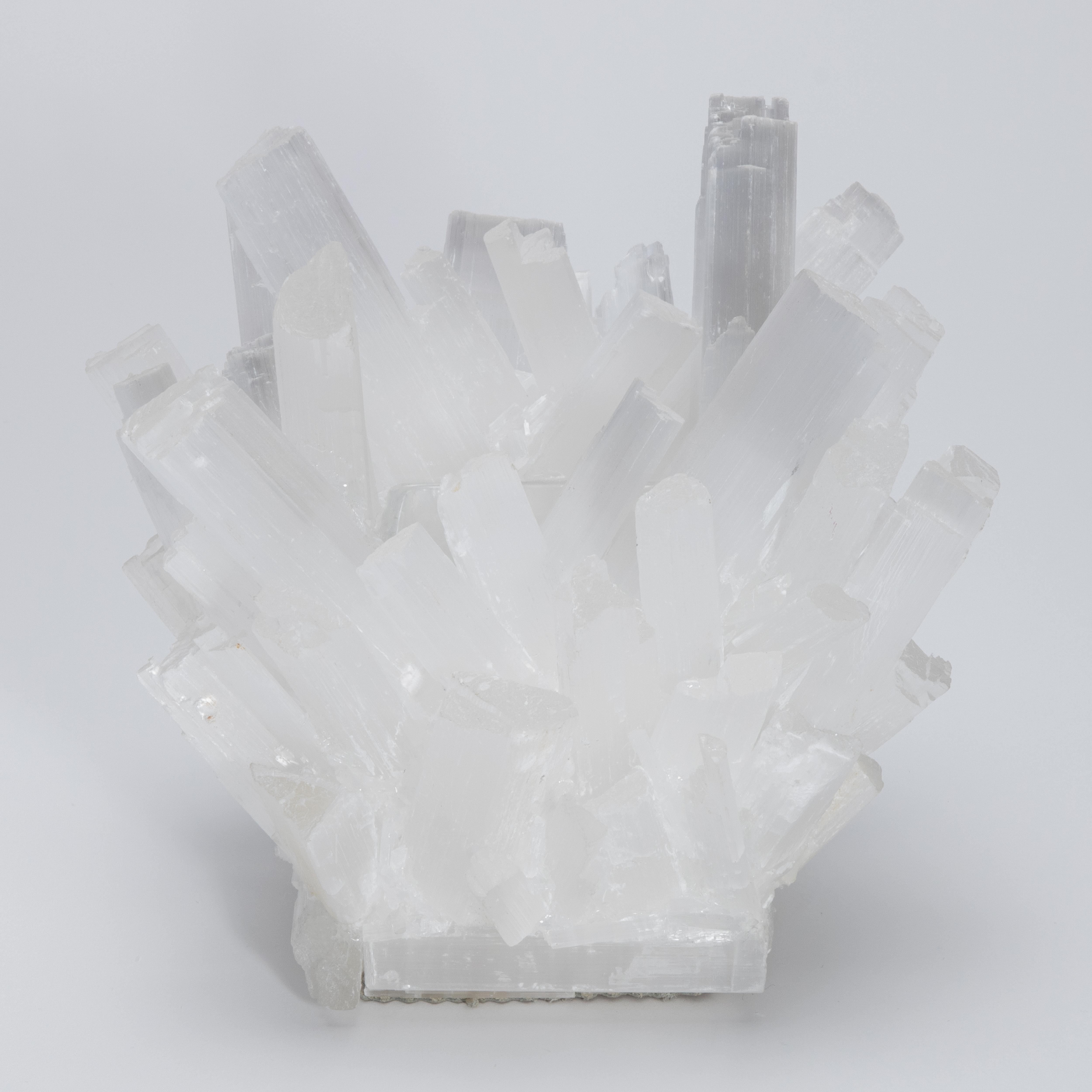 Americano Portavoci in selenite classica di Kathryn McCoy in vendita