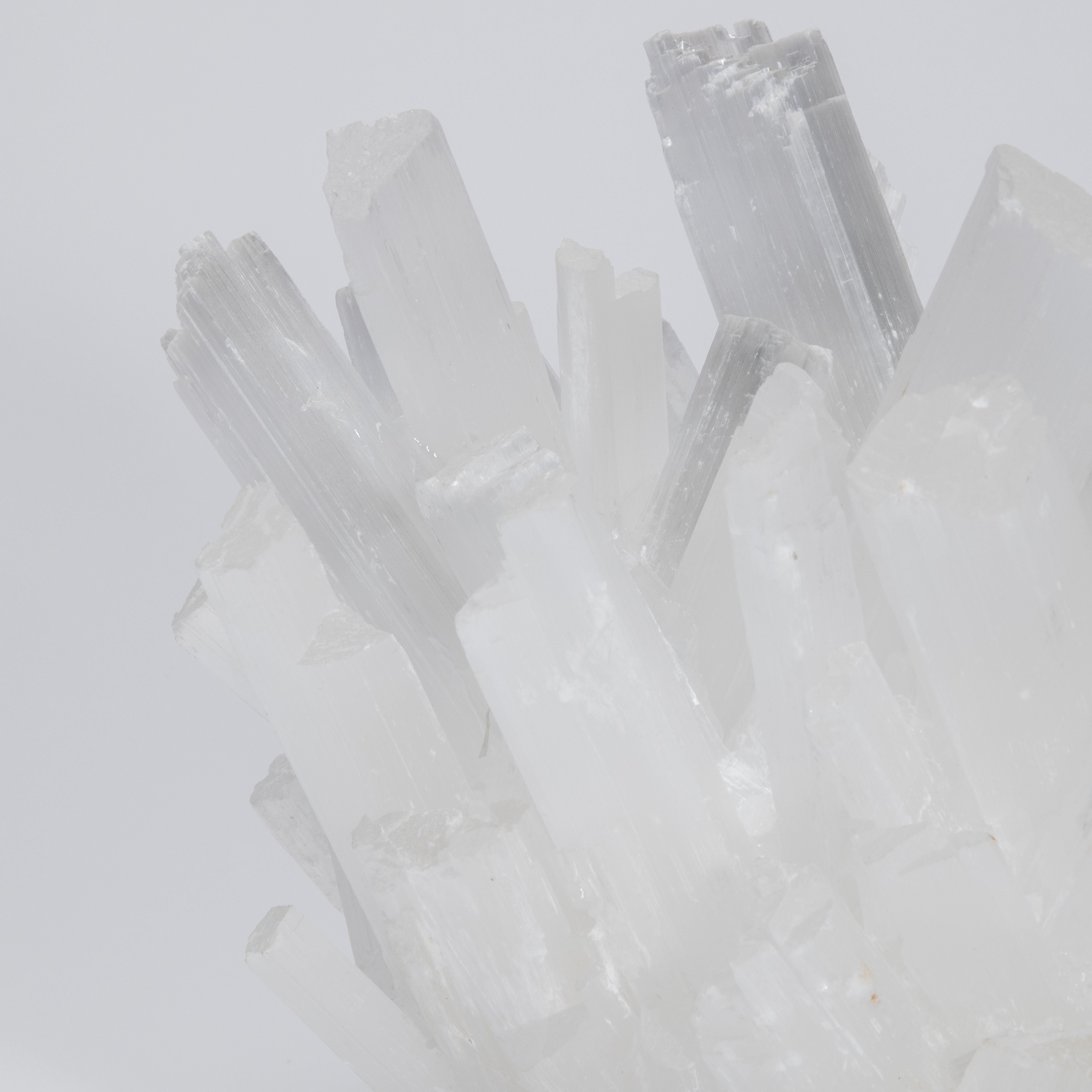 Portavoci in selenite classica di Kathryn McCoy In condizioni Nuovo in vendita a West Hollywood, CA
