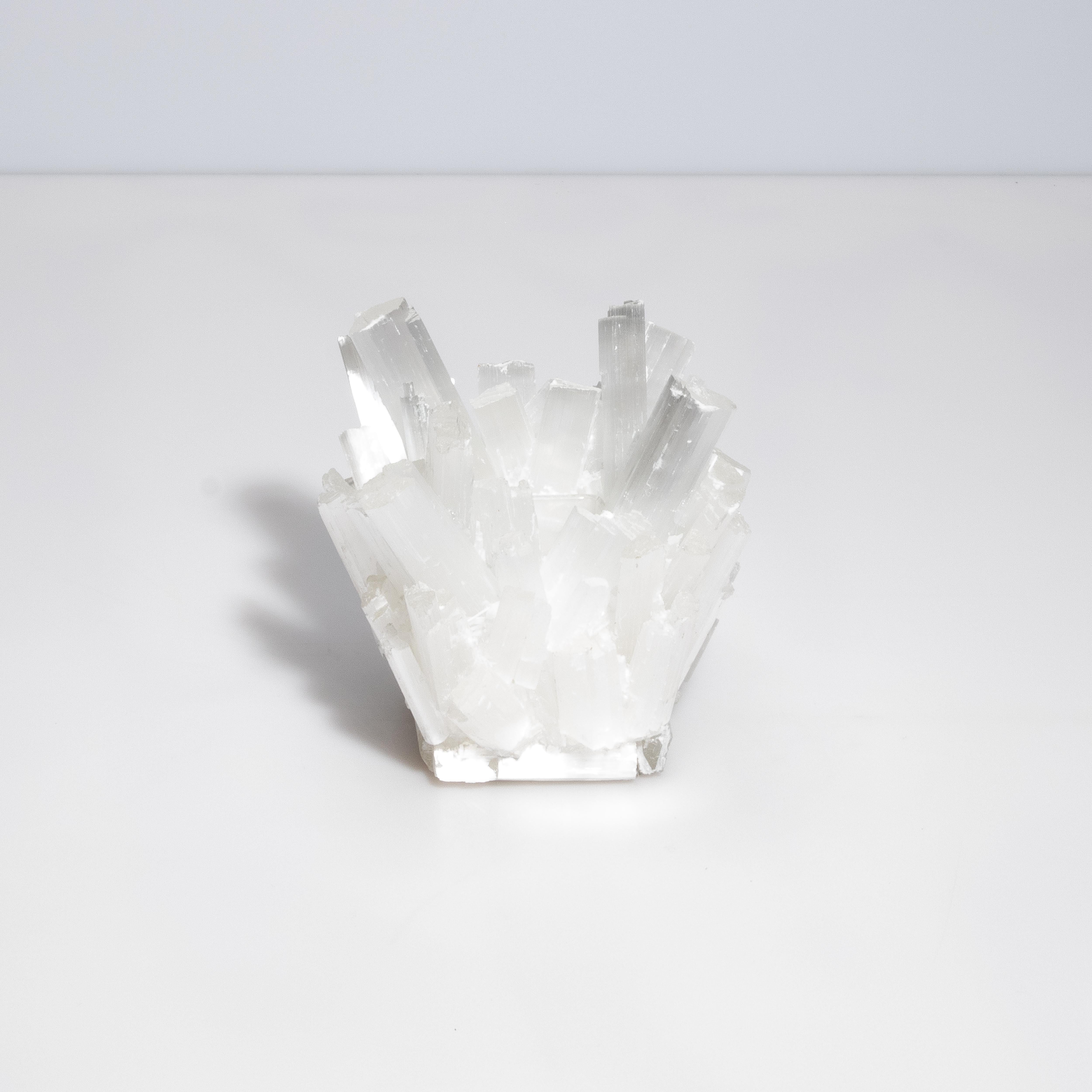 Lasciati conquistare dal fascino accattivante della Collection'S Rock Crystal di Kathryn McCoy, un capolavoro che fonde perfettamente la bellezza grezza della natura con la squisita maestria artigianale. Disponibile in varie dimensioni e