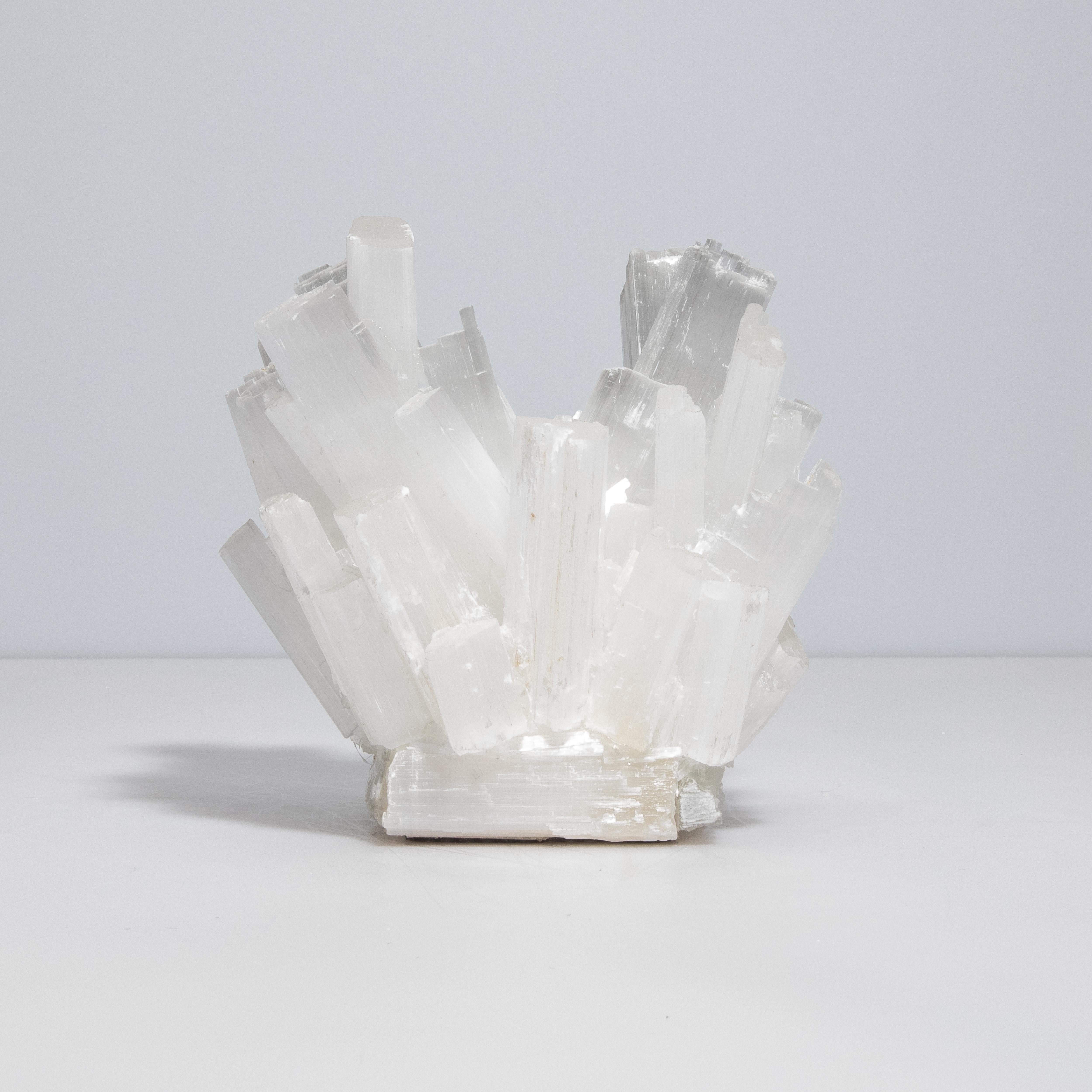 Fatto a mano Portavoci in selenite classica in vendita