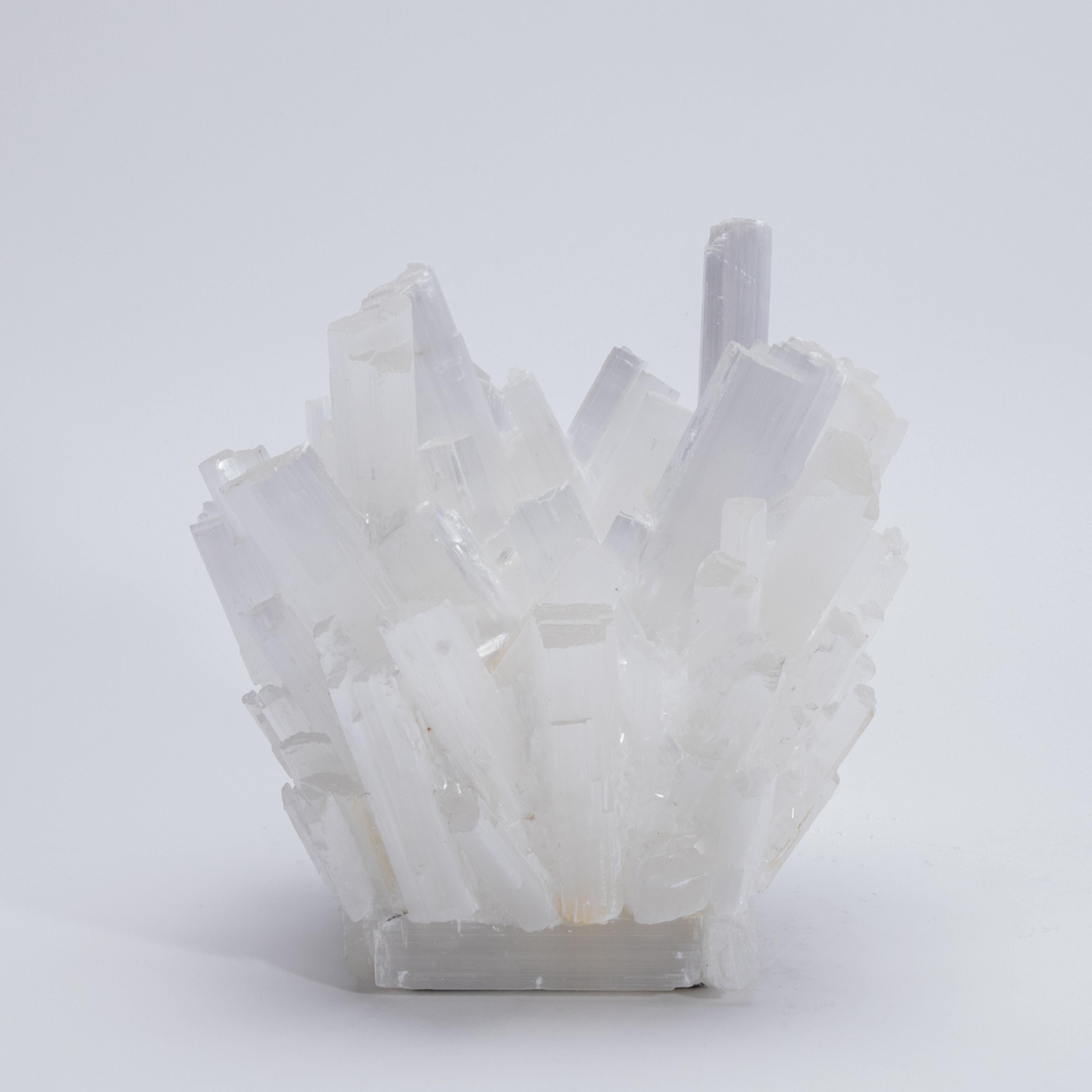 Americano Portavoci in selenite grande di Kathryn McCoy in vendita
