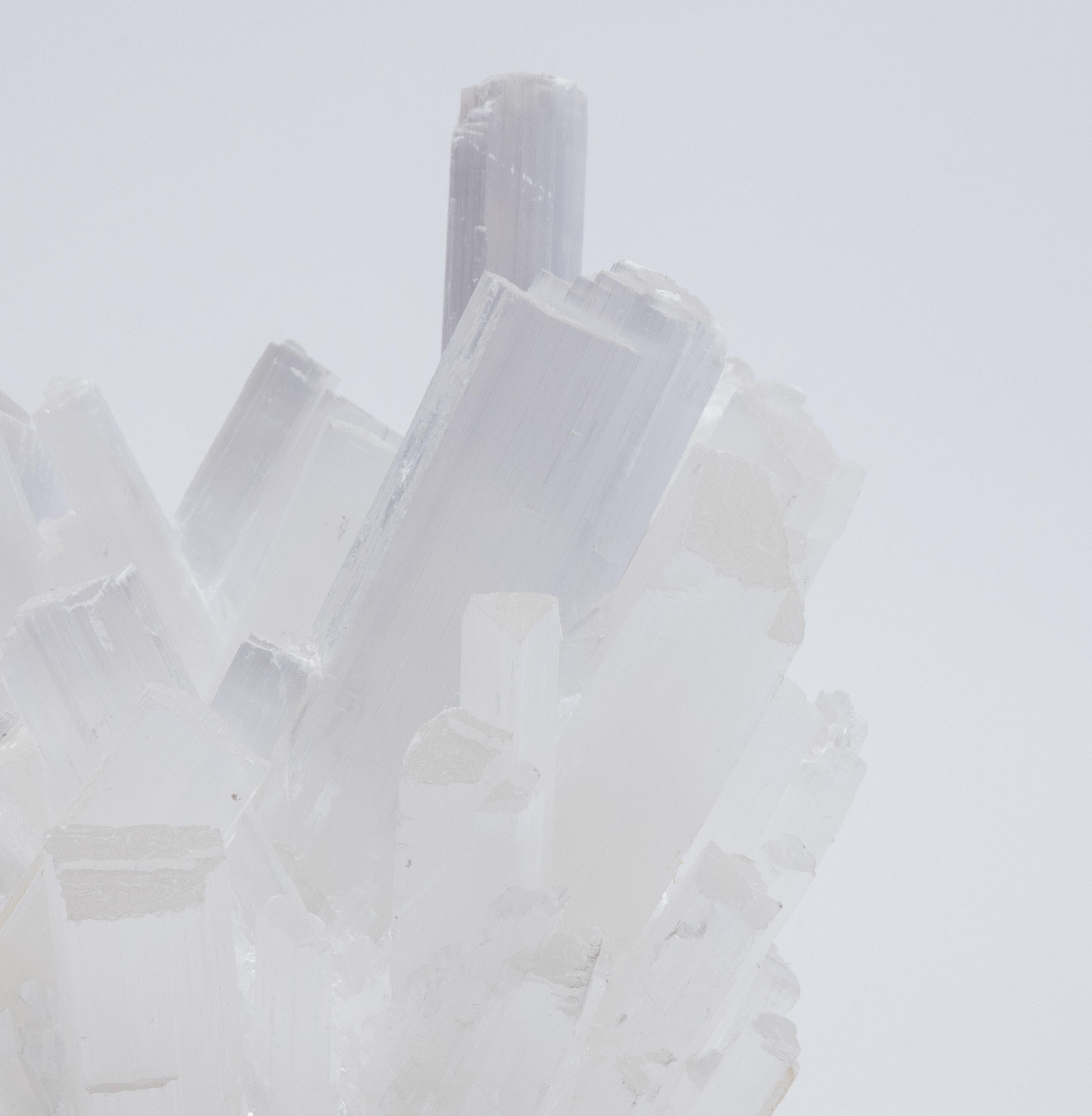 Portavoci in selenite grande di Kathryn McCoy In condizioni Nuovo in vendita a West Hollywood, CA