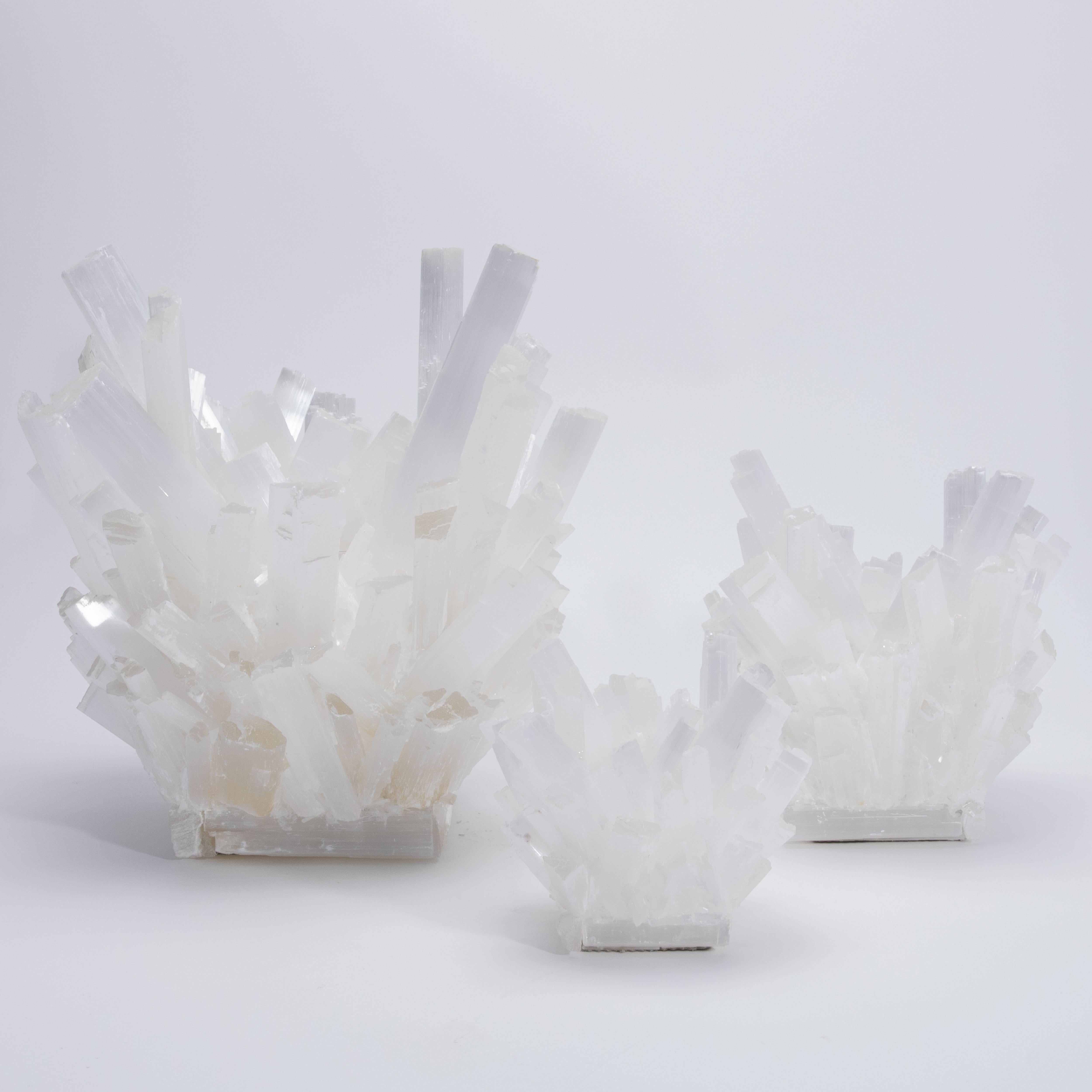 Cristallo di rocca Portavoci in selenite grande di Kathryn McCoy in vendita
