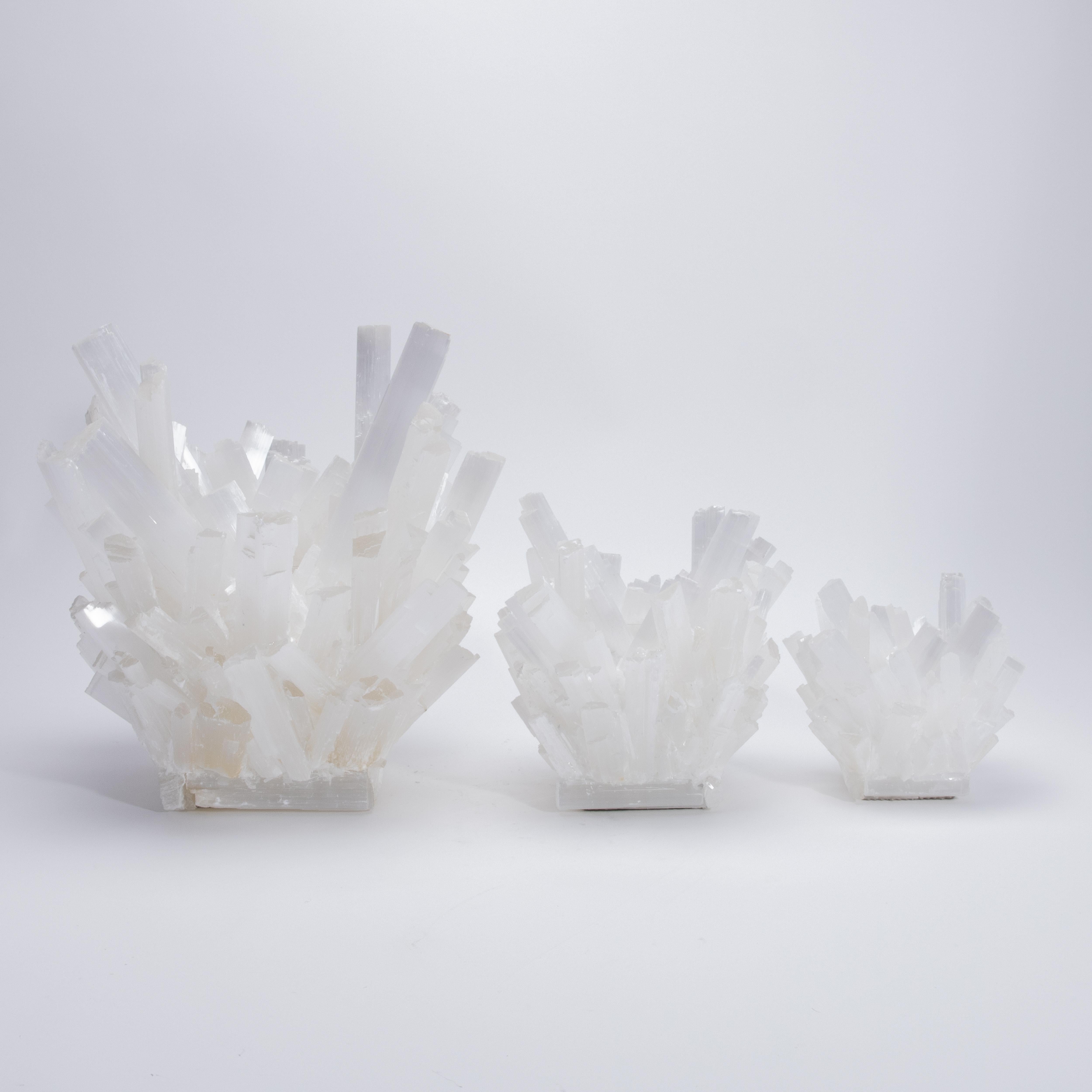 Portavoci in selenite grande di Kathryn McCoy in vendita 1