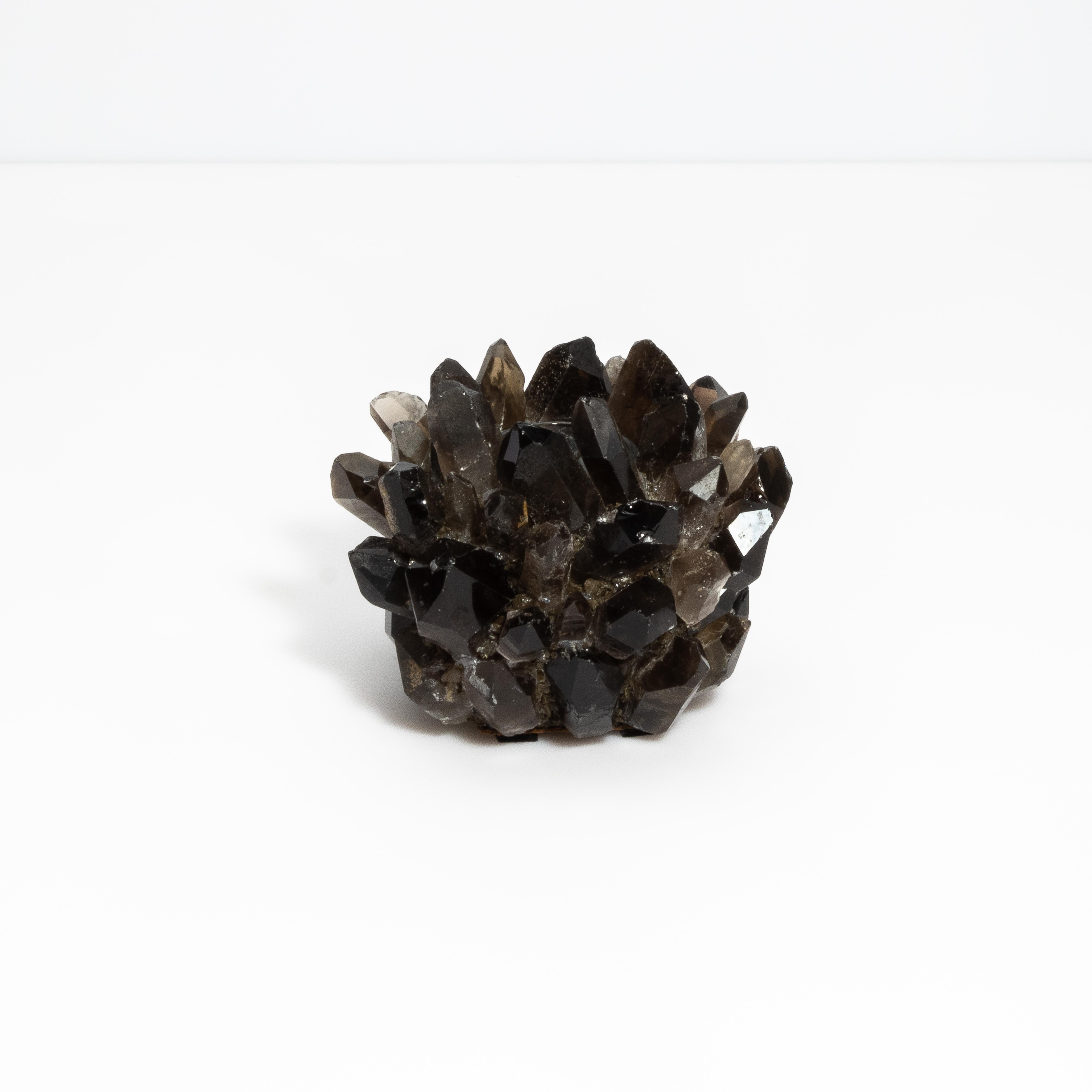 Lasciati conquistare dal fascino accattivante della Collection'S Rock Crystal di Kathryn McCoy, un capolavoro che fonde perfettamente la bellezza grezza della natura con la squisita maestria artigianale. Disponibile in varie dimensioni e
