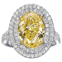 VS 4.82 CTTW Fancy Light Yellow Diamond Halo - 18 kt. White gold - Ring