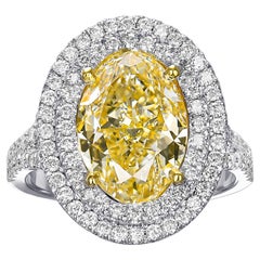 VS 4.82 CTTW Fancy Light Yellow Diamond Halo - 18 kt. Or blanc - Bague