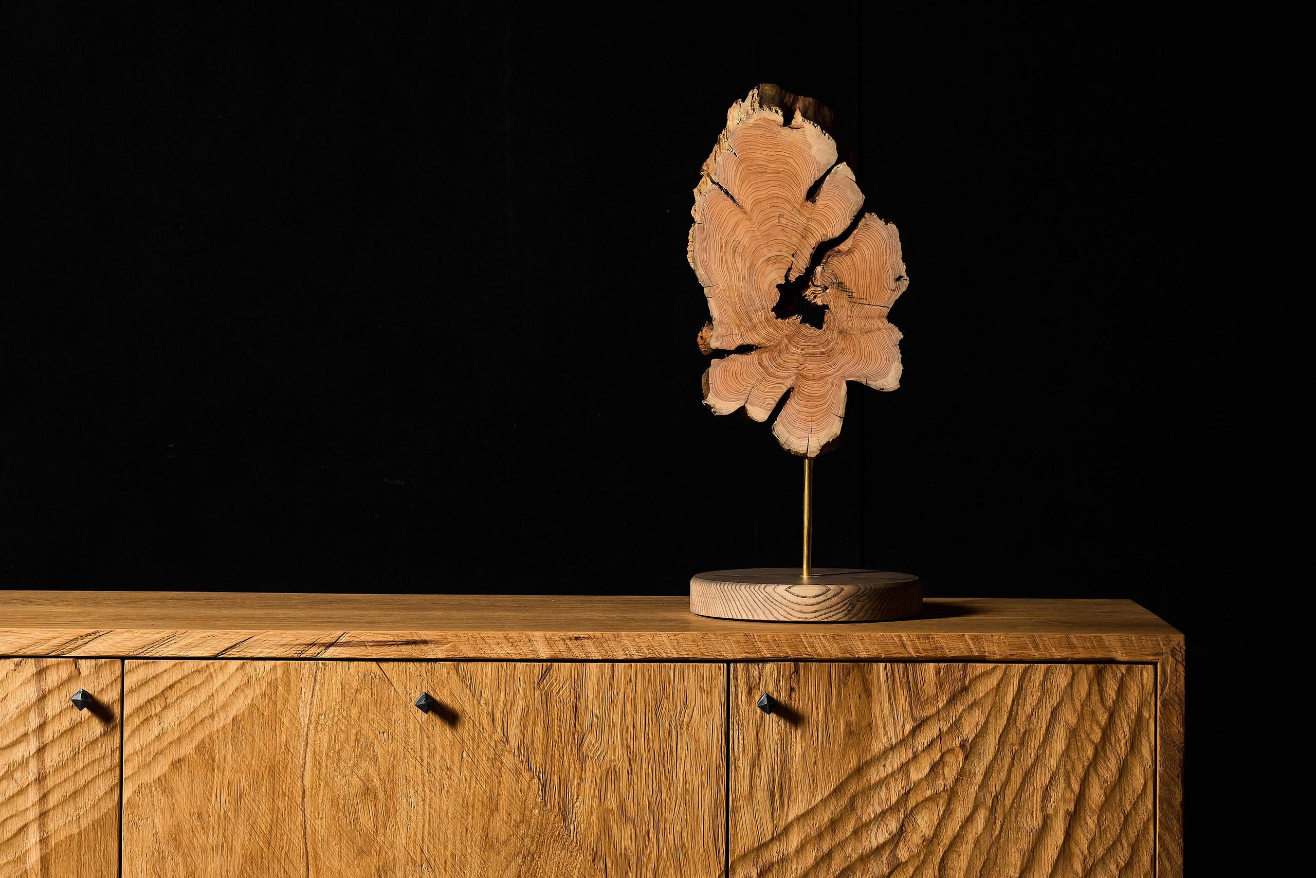 VulpeConcept Modern-Decor - Tischskulptur aus Holz

Dieses von VulpeConcept-Künstlern handgefertigte Kunstwerk verbindet natürliche Schönheit mit zeitgenössischer Kunst. Die Tischskulptur dient als auffälliges Kunstwerk, das Ihrem Interieur