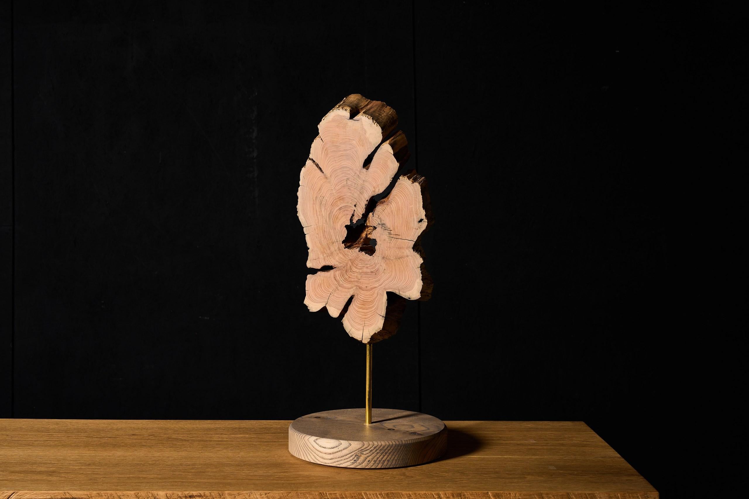 VulpeConcept Contemporary Decor Holztischskulptur (21. Jahrhundert und zeitgenössisch) im Angebot