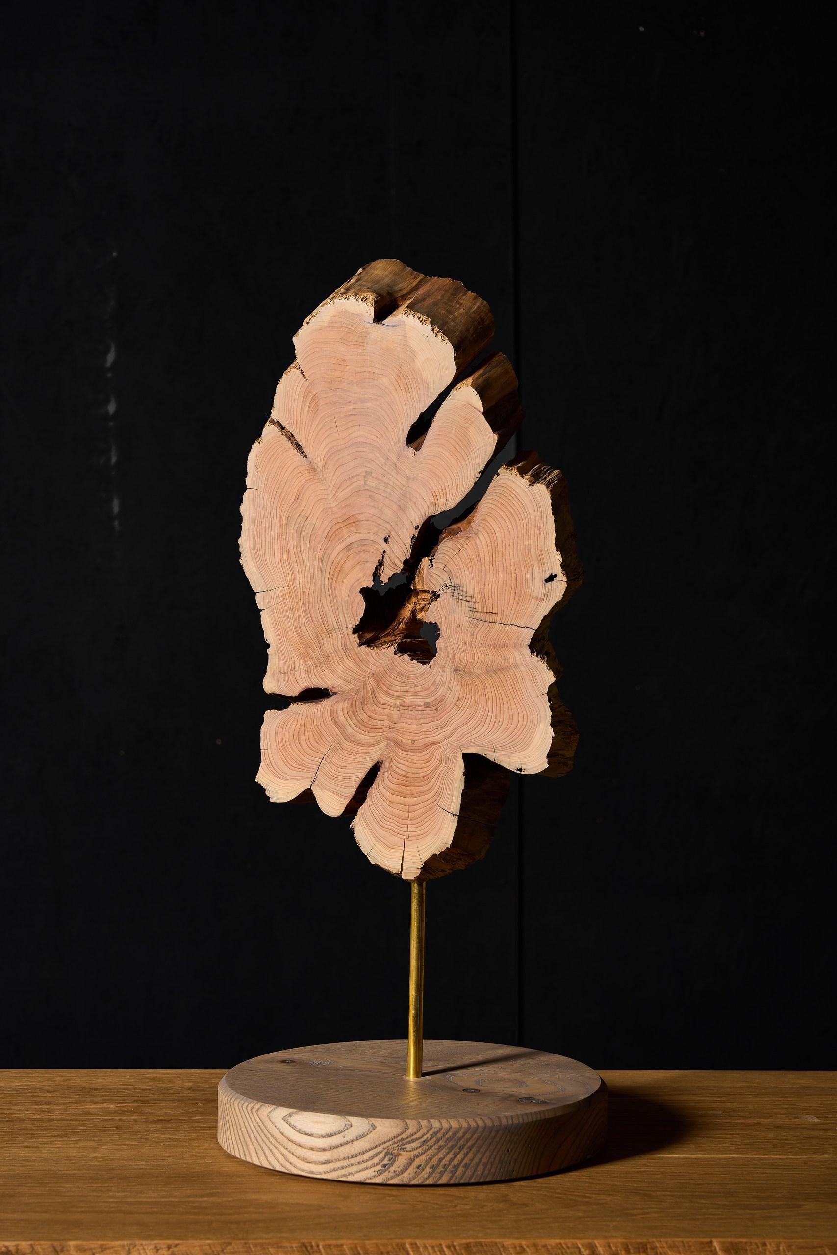 VulpeConcept Contemporary Decor Holztischskulptur (Asche) im Angebot