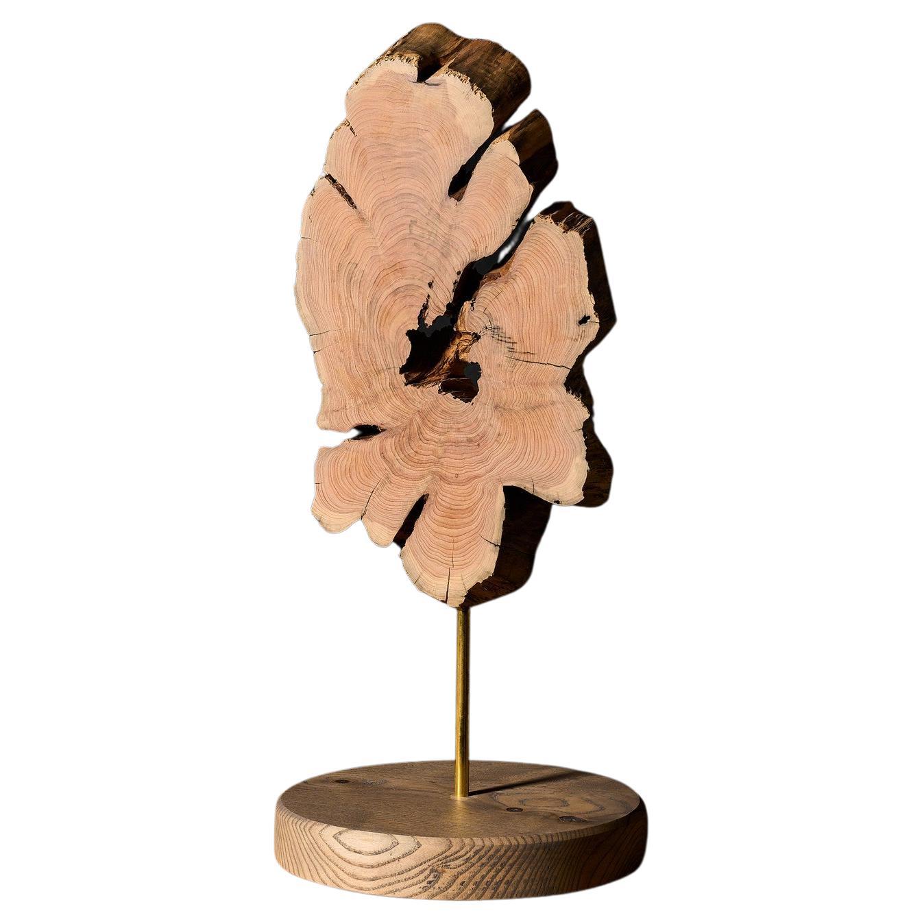 VulpeConcept Contemporary Decor Holztischskulptur im Angebot