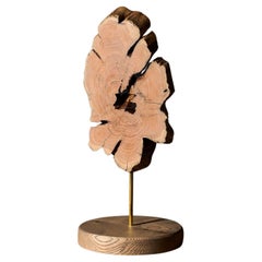 VulpeConcept Decoración Contemporánea Escultura de Mesa de Madera