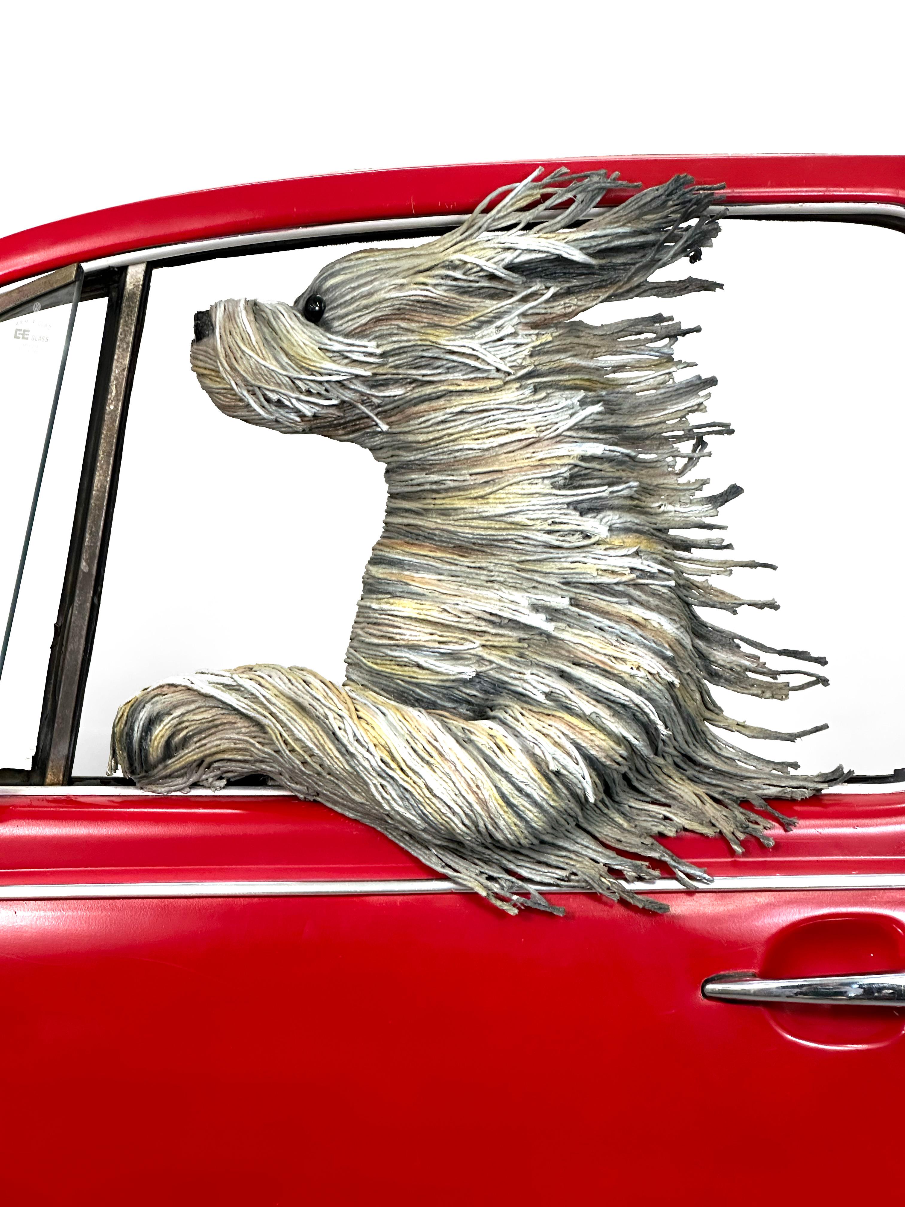 Other VW Dog by DD LaRue, Mixed Media