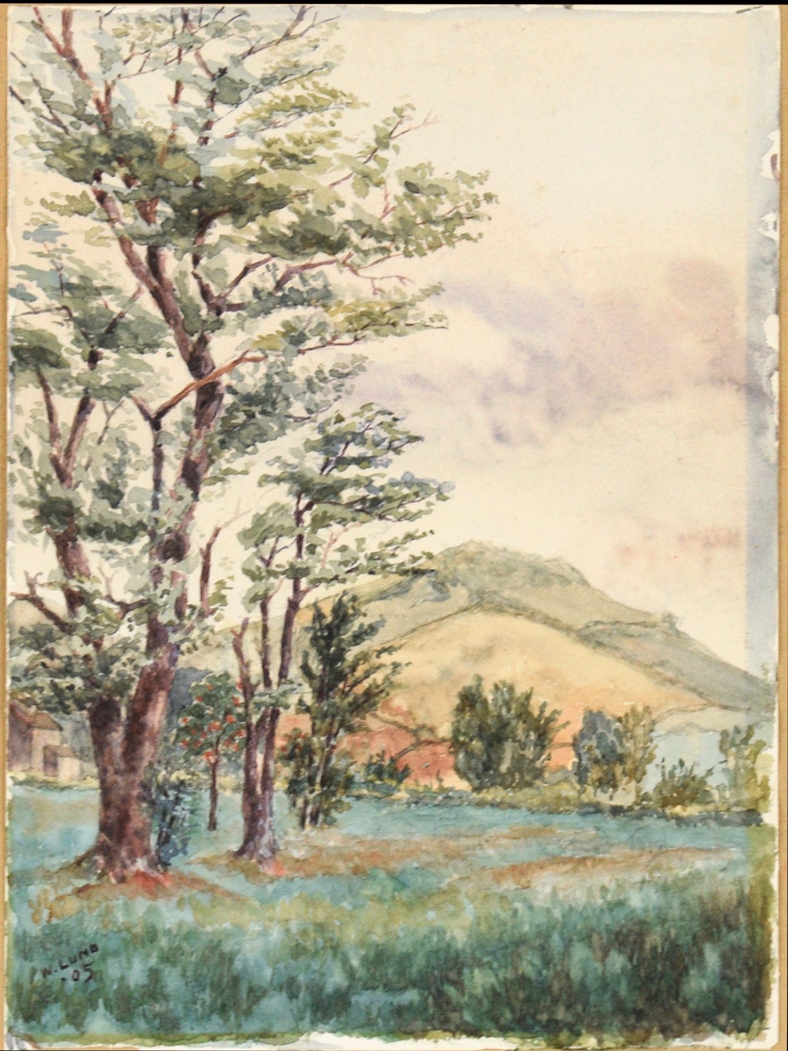 Tree-Filled Valley and Mountains in West Brighton Staten Island Watercolor 1905 For Sale 2