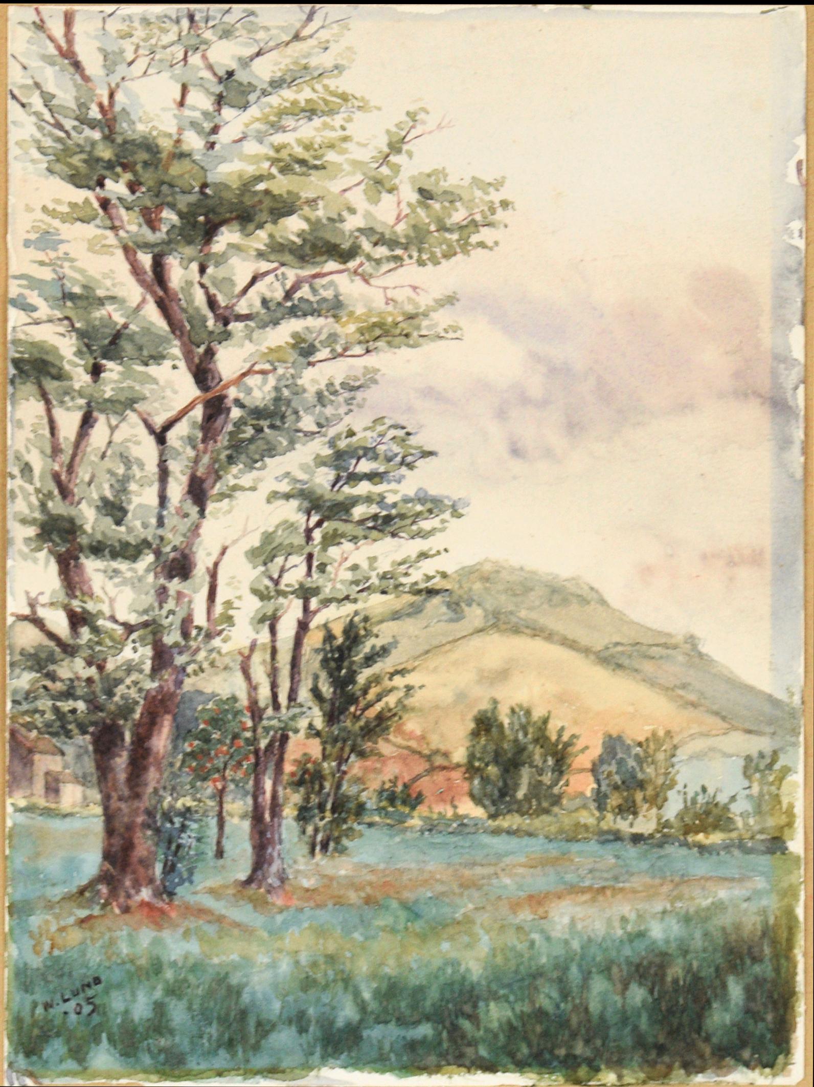 Valle alberata e montagne a West Brighton Staten Island Acquerello 1905 in vendita 5