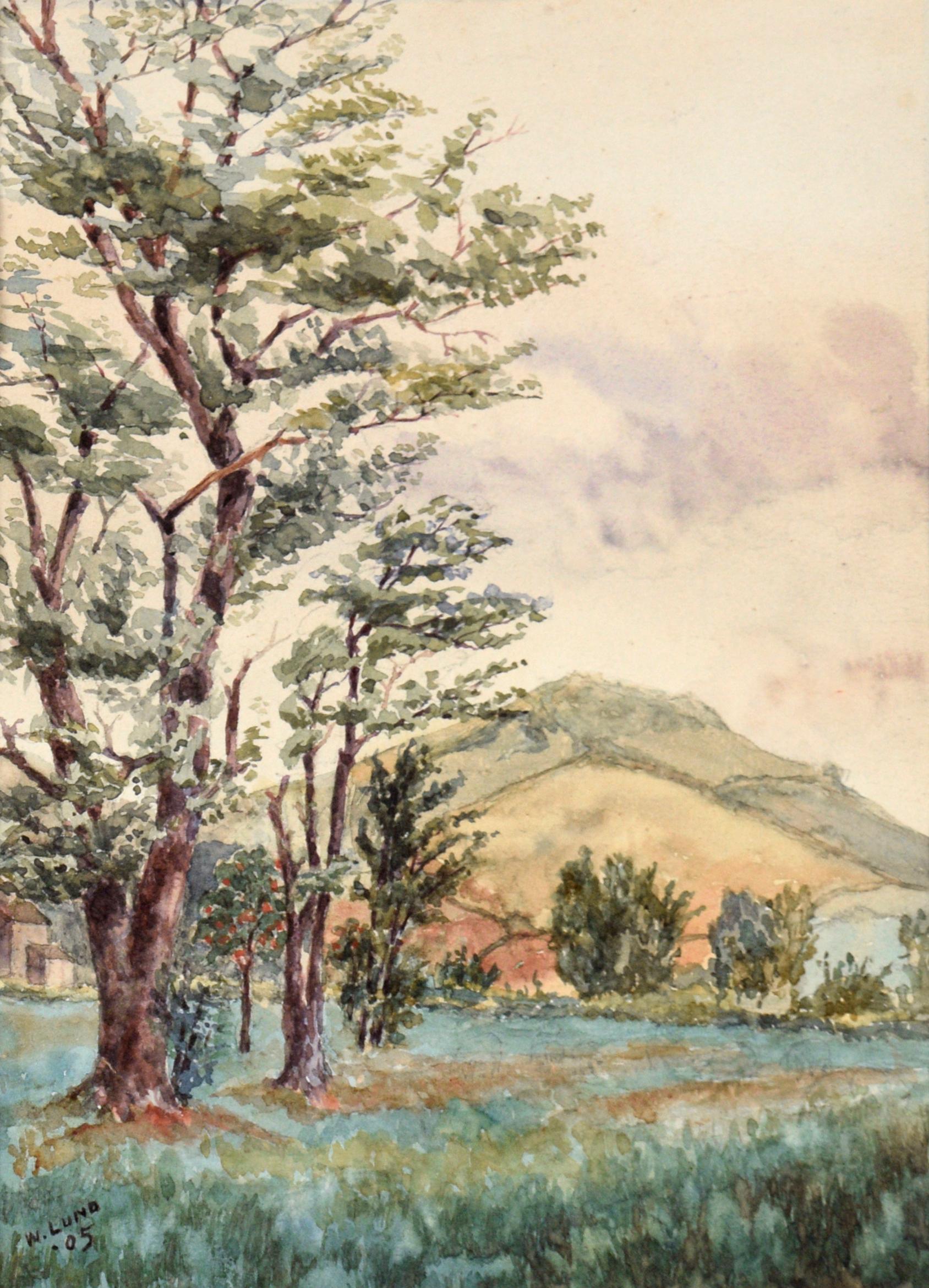 Valle alberata e montagne a West Brighton Staten Island Acquerello 1905 - Painting di W Lund