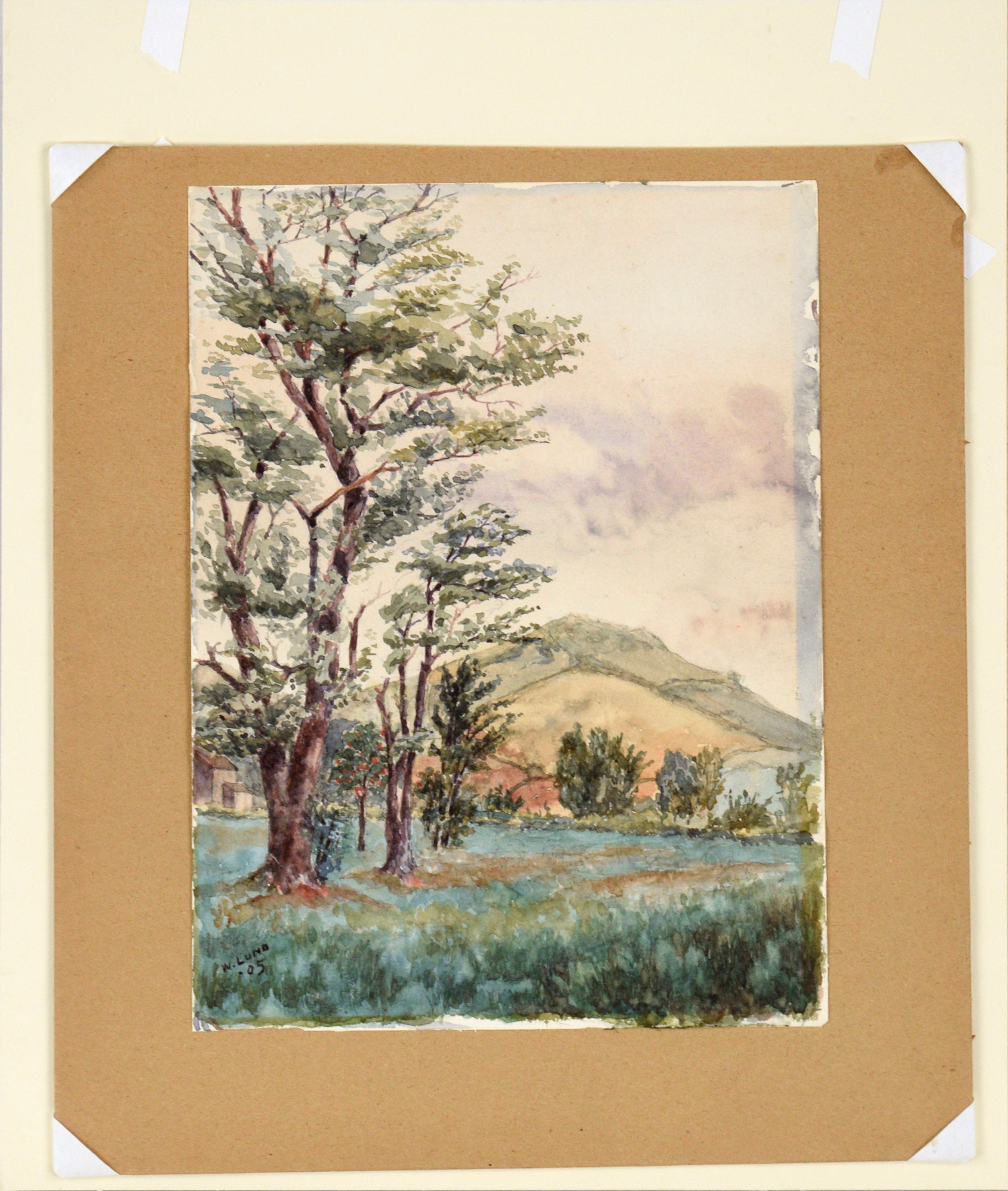 Tree-Filled Valley and Mountains in West Brighton Staten Island Watercolor 1905 For Sale 1