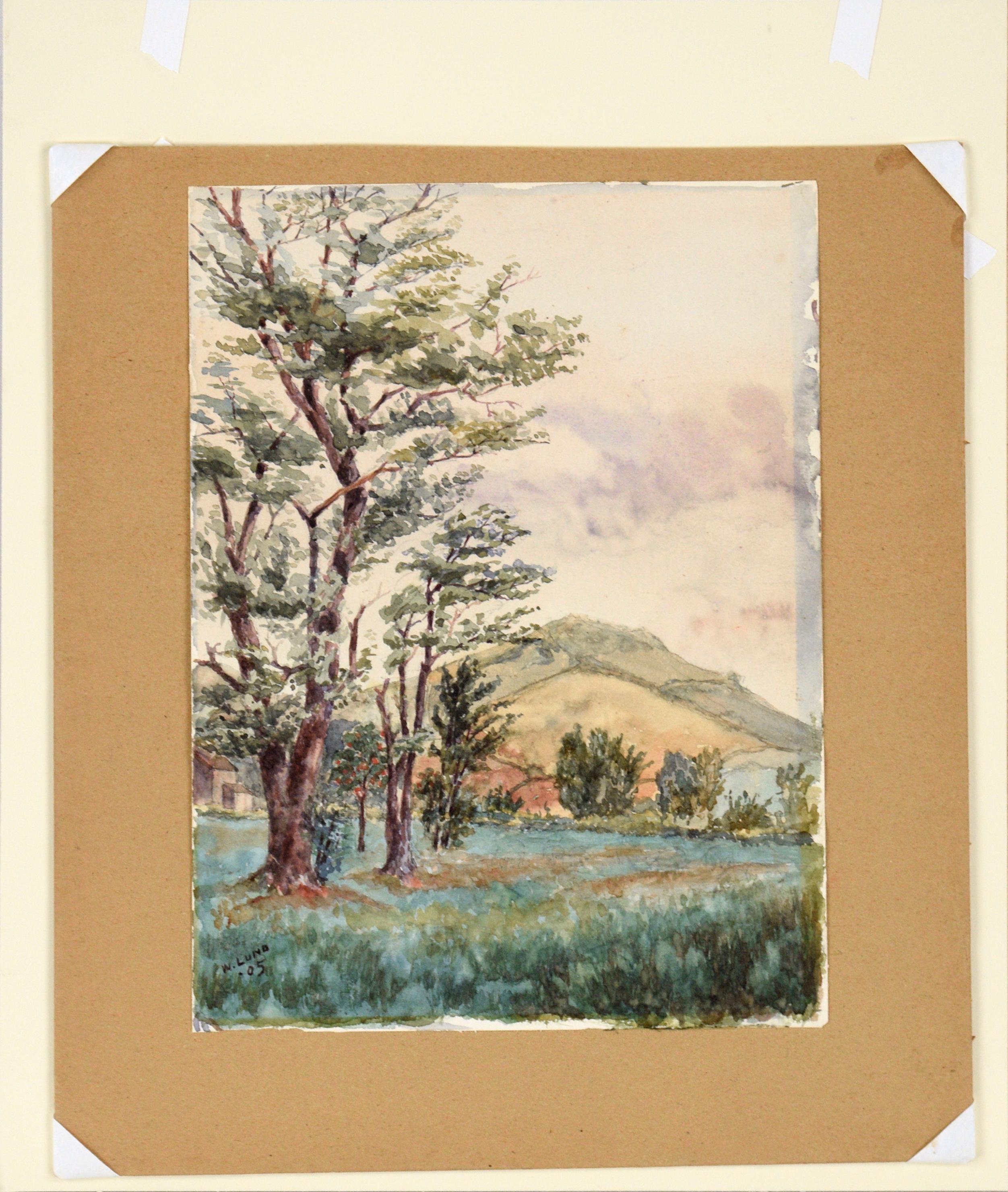 Valle alberata e montagne a West Brighton Staten Island Acquerello 1905 in vendita 4
