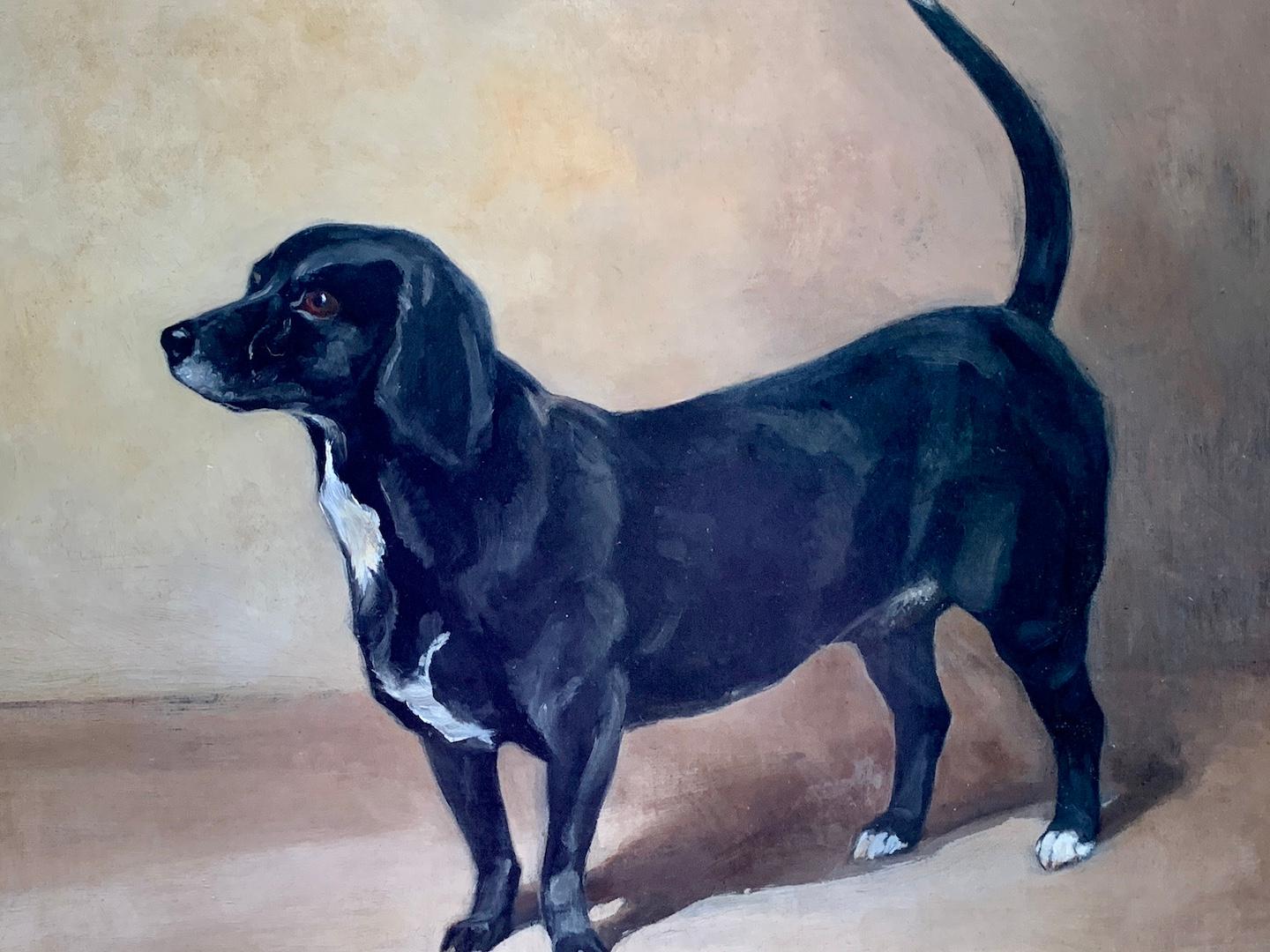 1935 English oil of a terrier dog portrait, Bonzo - Painting by W. Redworth