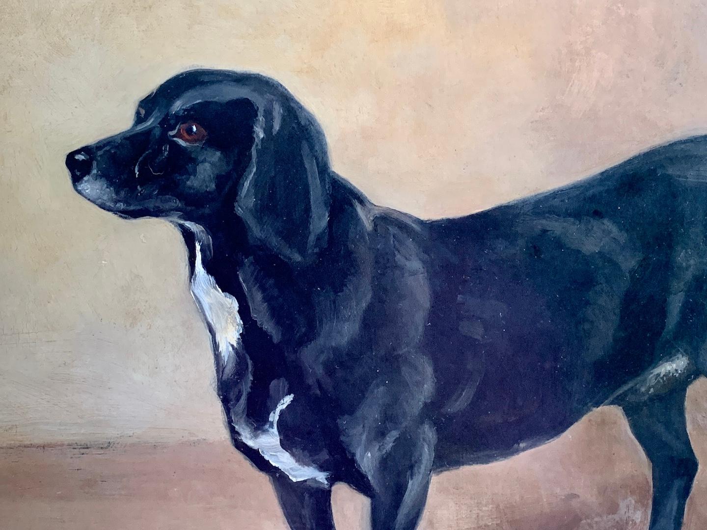 W.Redworth, English portrait of a terrier dog, circa 1935

Wonderful oil on canvas portrait. 

A very English animal portrait and a very well painted painting, framed in an amazing antique gold leaf frame.