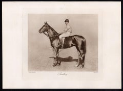 Sandboy, racehorse, horse racing sepia photogravure, 1906