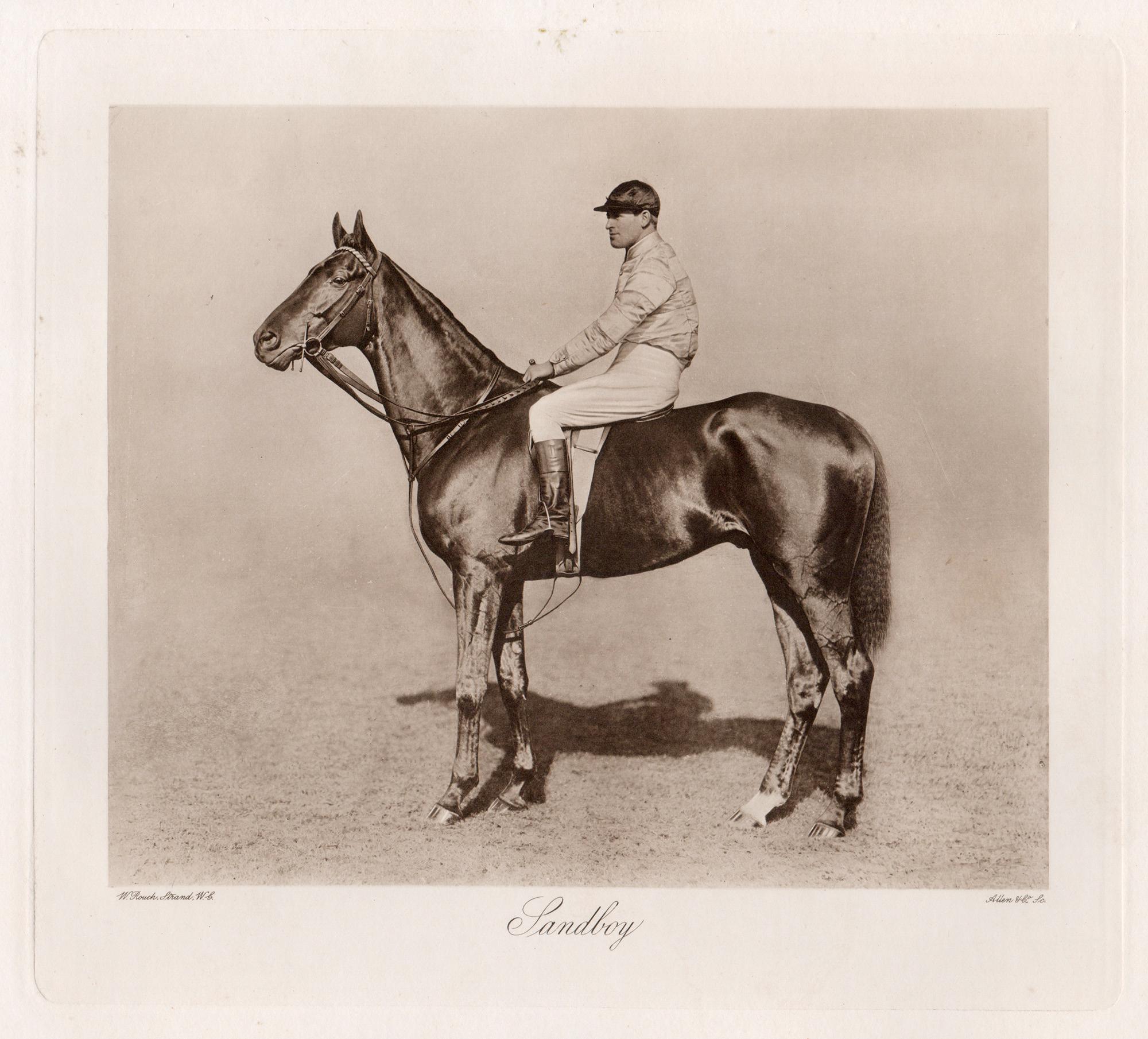 Sandboy, cheval de course, photogravure sépia sur le thème des courses hippiques, 1906
