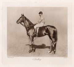Sandboy, racehorse, horse racing sepia photogravure, 1906
