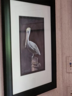 PELICAN