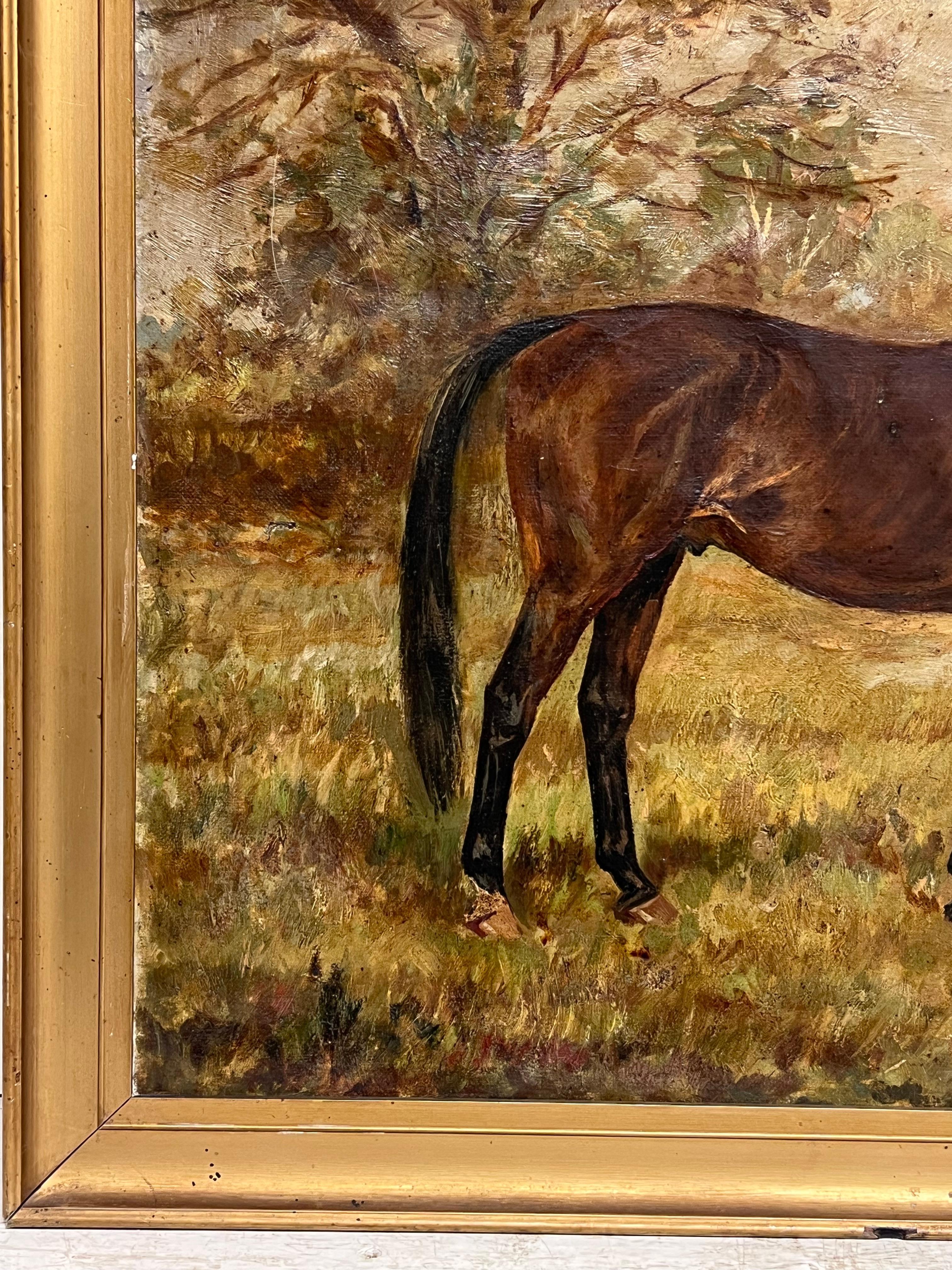 Retrato de un caballo en su campo
de W. Wasdell Trickett (británico, finales del siglo XIX/principios del XX)
de 1935
óleo sobre lienzo firmado, enmarcado
enmarcado: 18 x 23 pulgadas
lienzo : 16 x 20 pulgadas
Procedencia: colección privada,