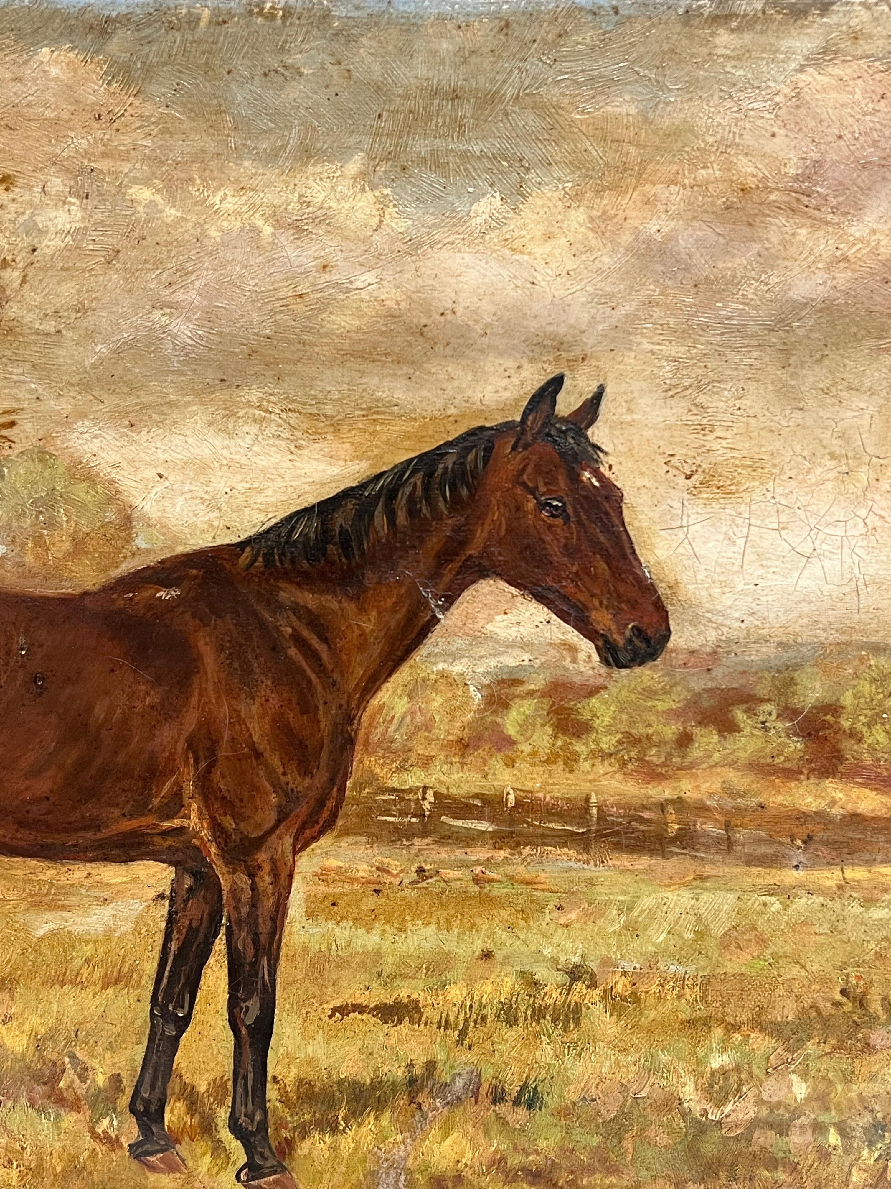 Antigua Pintura al Óleo de Arte Deportivo Inglés Retrato Ecuestre de Caballo en el Campo en venta 2