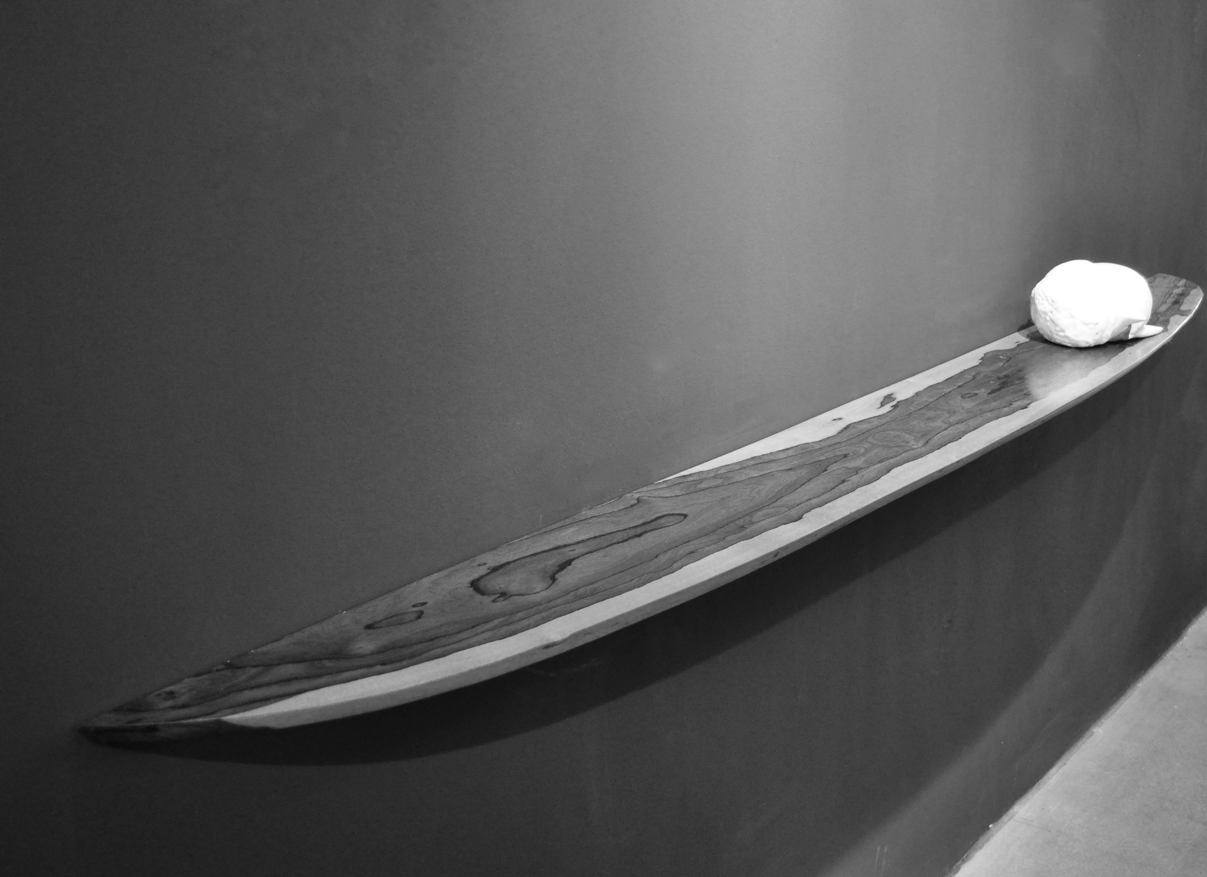 Contemporary W0099 Wall Hanging Shelf in Zirikote Wood by Jörg Pietschmann For Sale