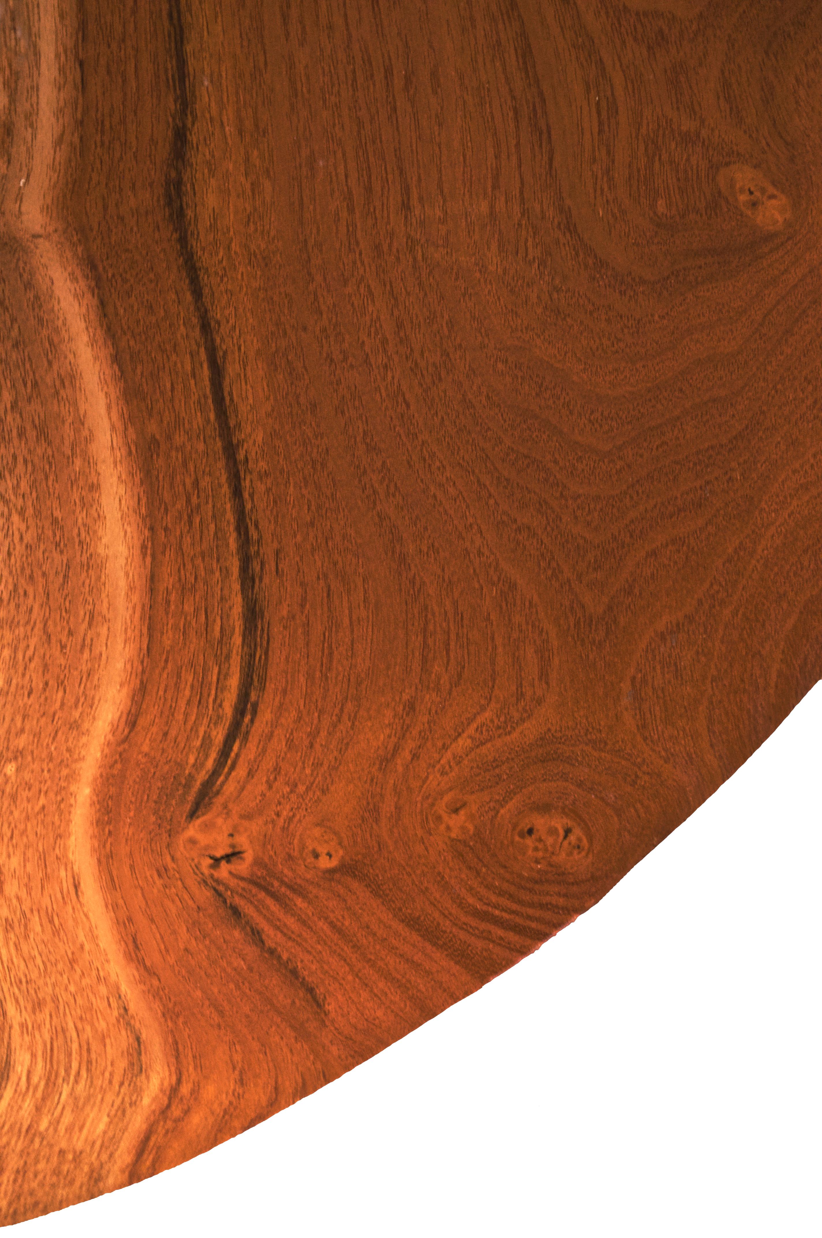 Contemporary W0118 Wall Hanging Shelf in Mulberry Wood by Jörg Pietschmann For Sale