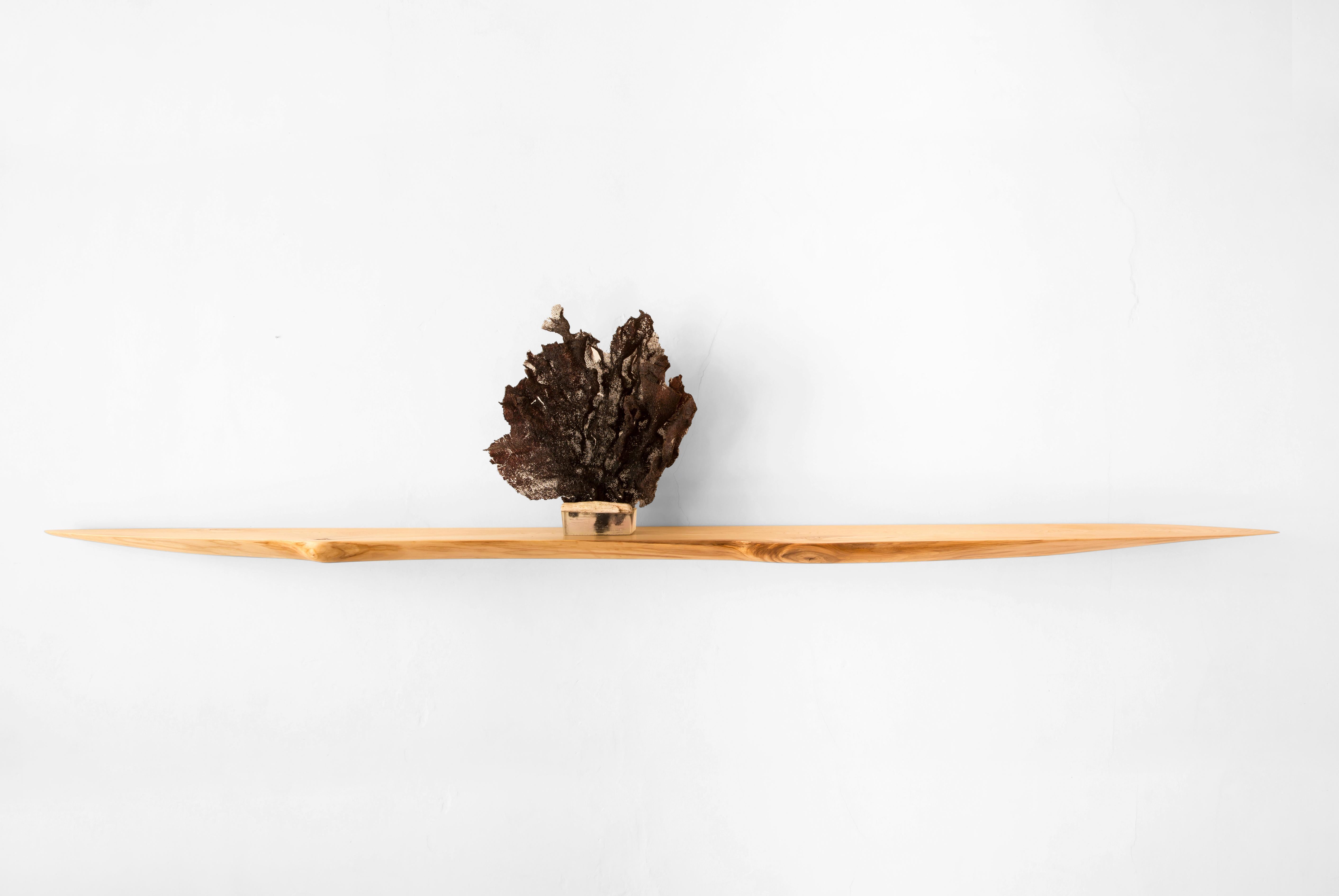 Contemporary W1013 Wall Hanging Shelf in Wych Elm Wood by Jörg Pietschmann For Sale