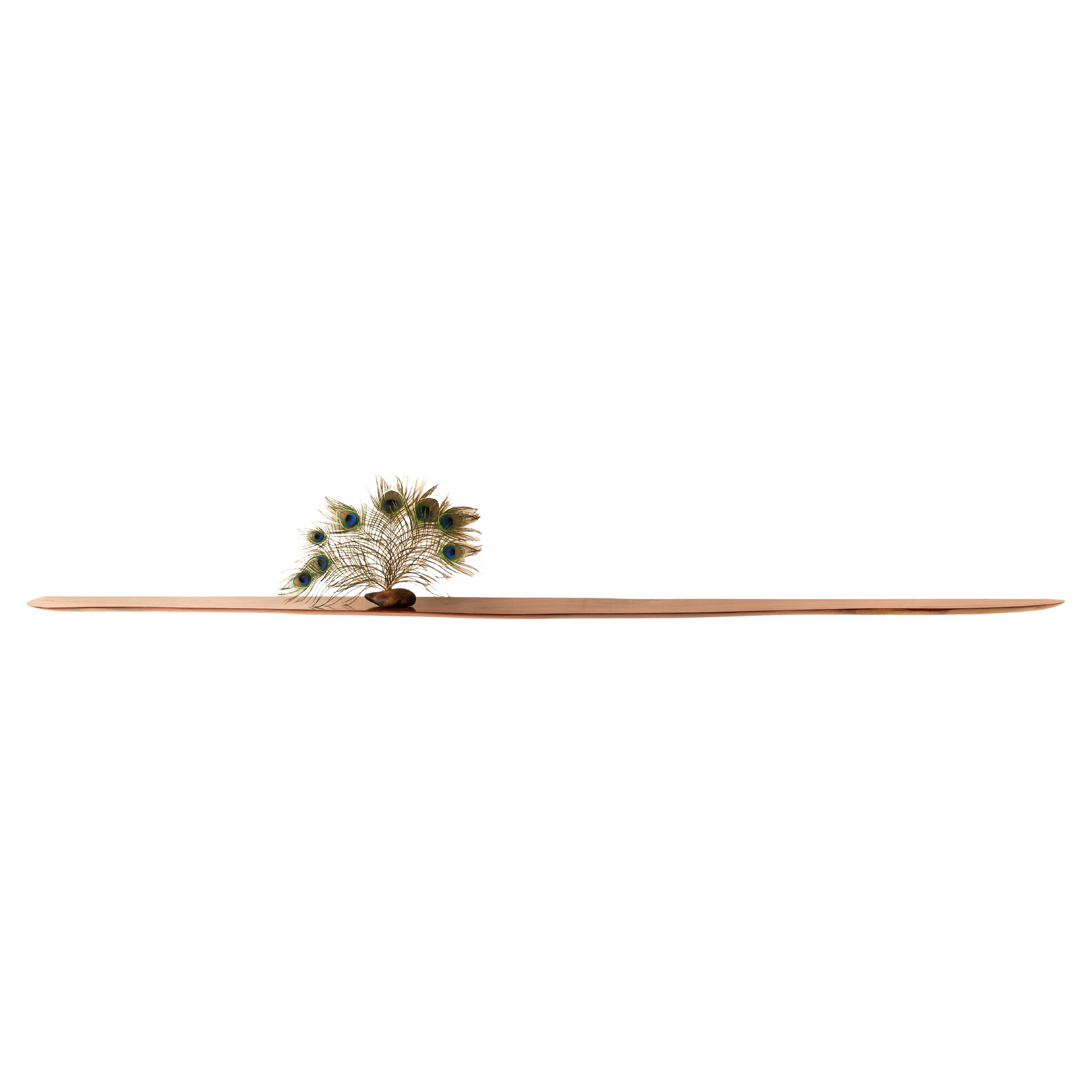 W1032 Wall Hanging Shelf in Pao Rosa Wood by Jörg Pietschmann For Sale