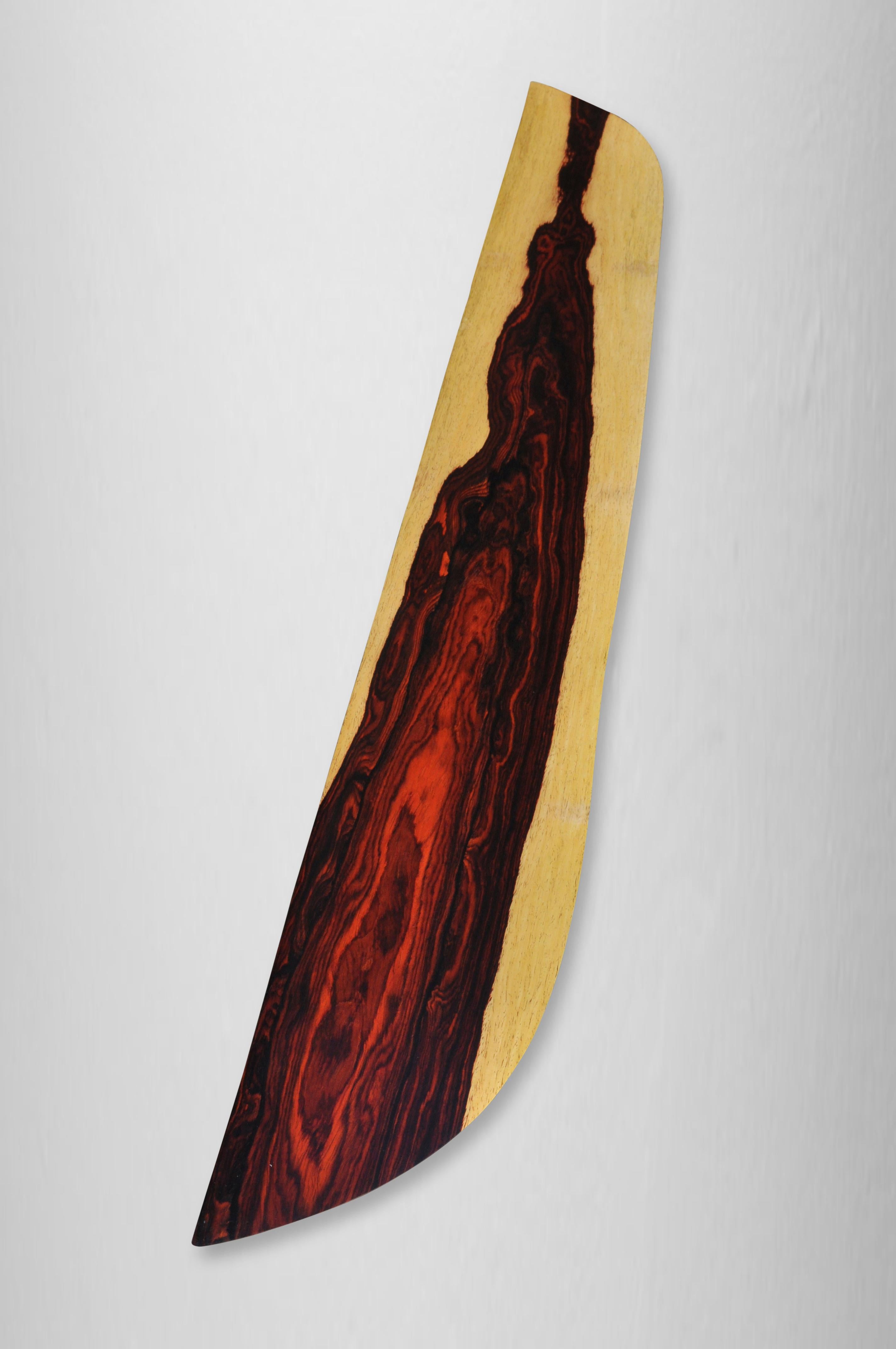 W1121 Wandregal zum Aufhängen aus Cocobolo-Holz von Jörg Pietschmann (Sonstiges) im Angebot
