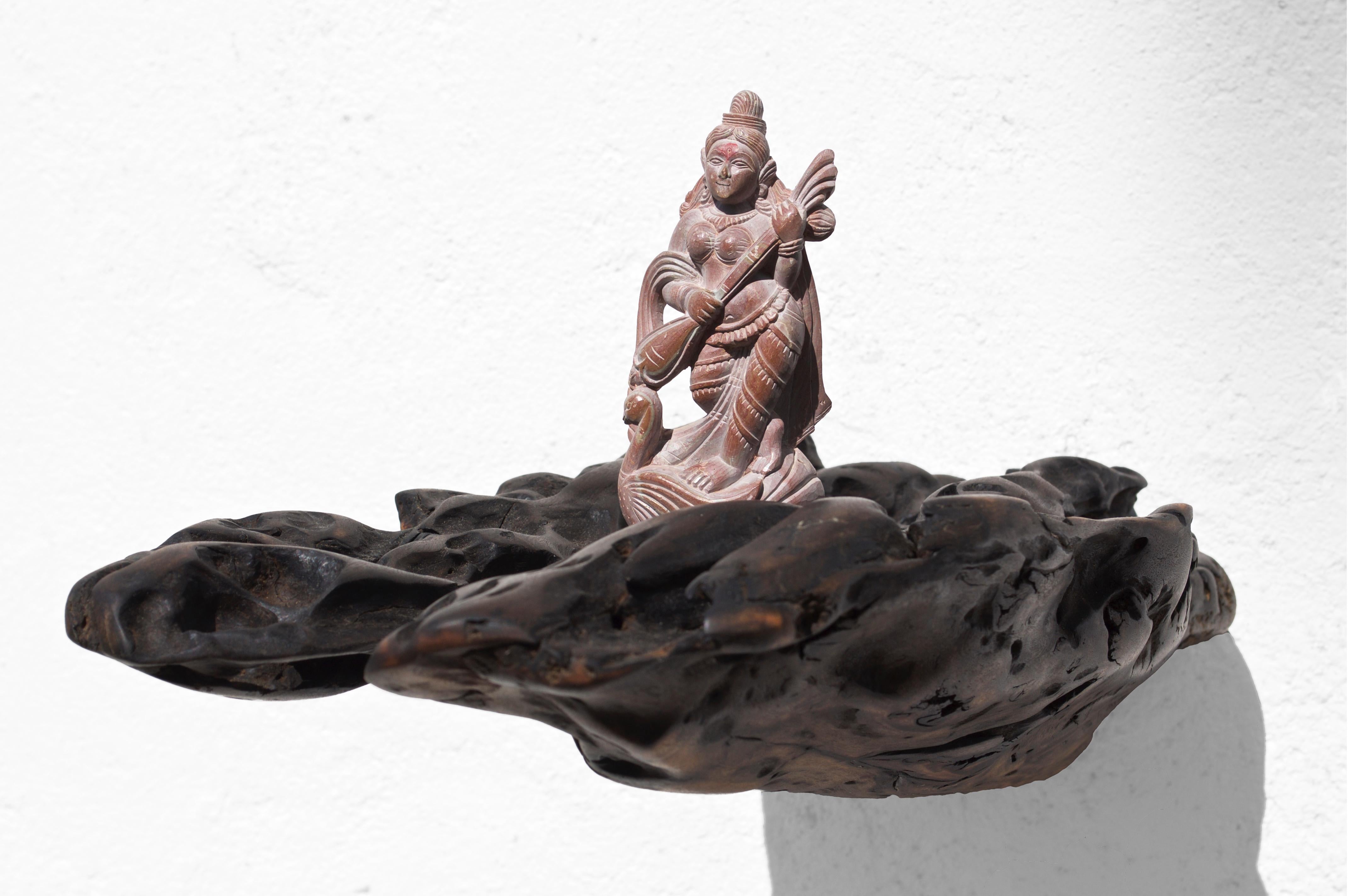 W2280 Wall Hanging Shelf in Trop. Driftwood by Jörg Pietschmann For Sale 3