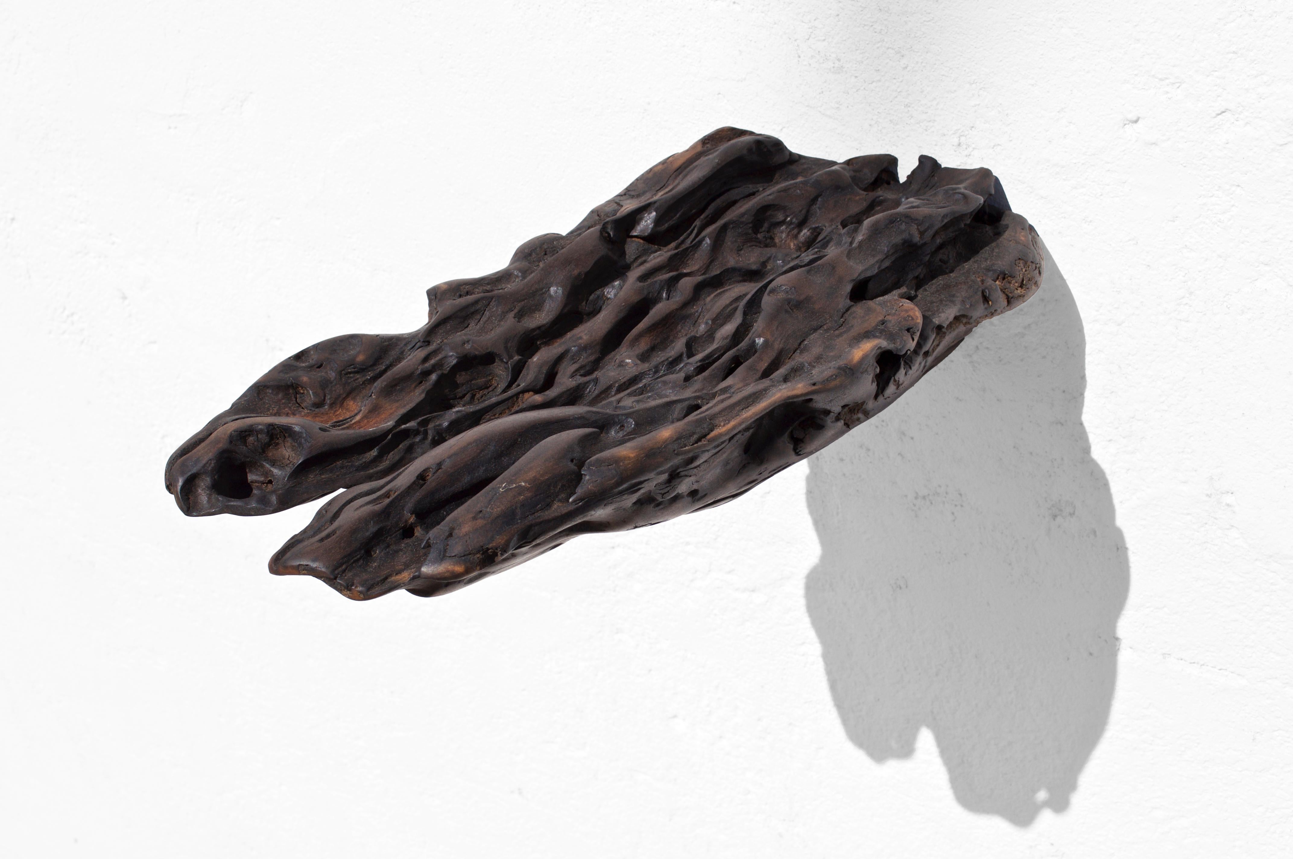 W2280 Wall Hanging Shelf in Trop. Driftwood by Jörg Pietschmann For Sale 4
