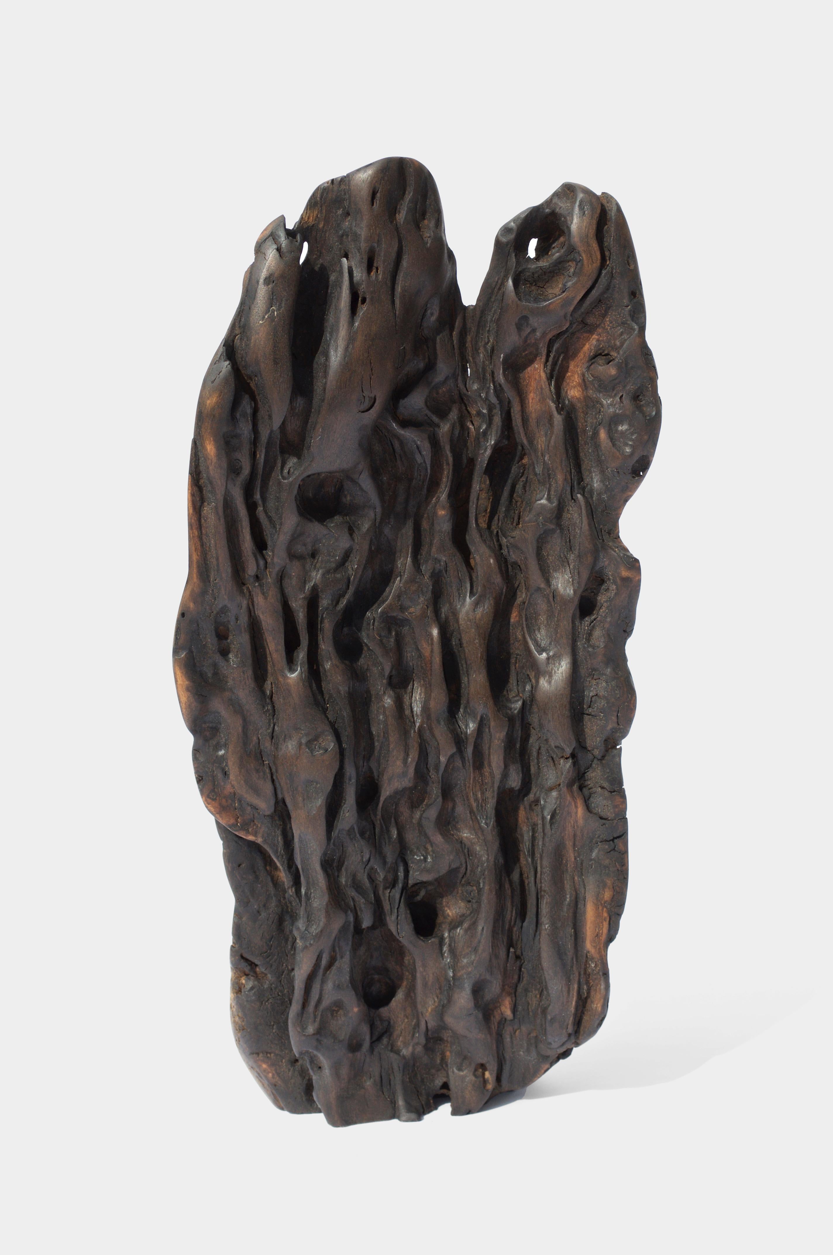 W2280 Wall Hanging Shelf in Trop. Driftwood by Jörg Pietschmann For Sale 5