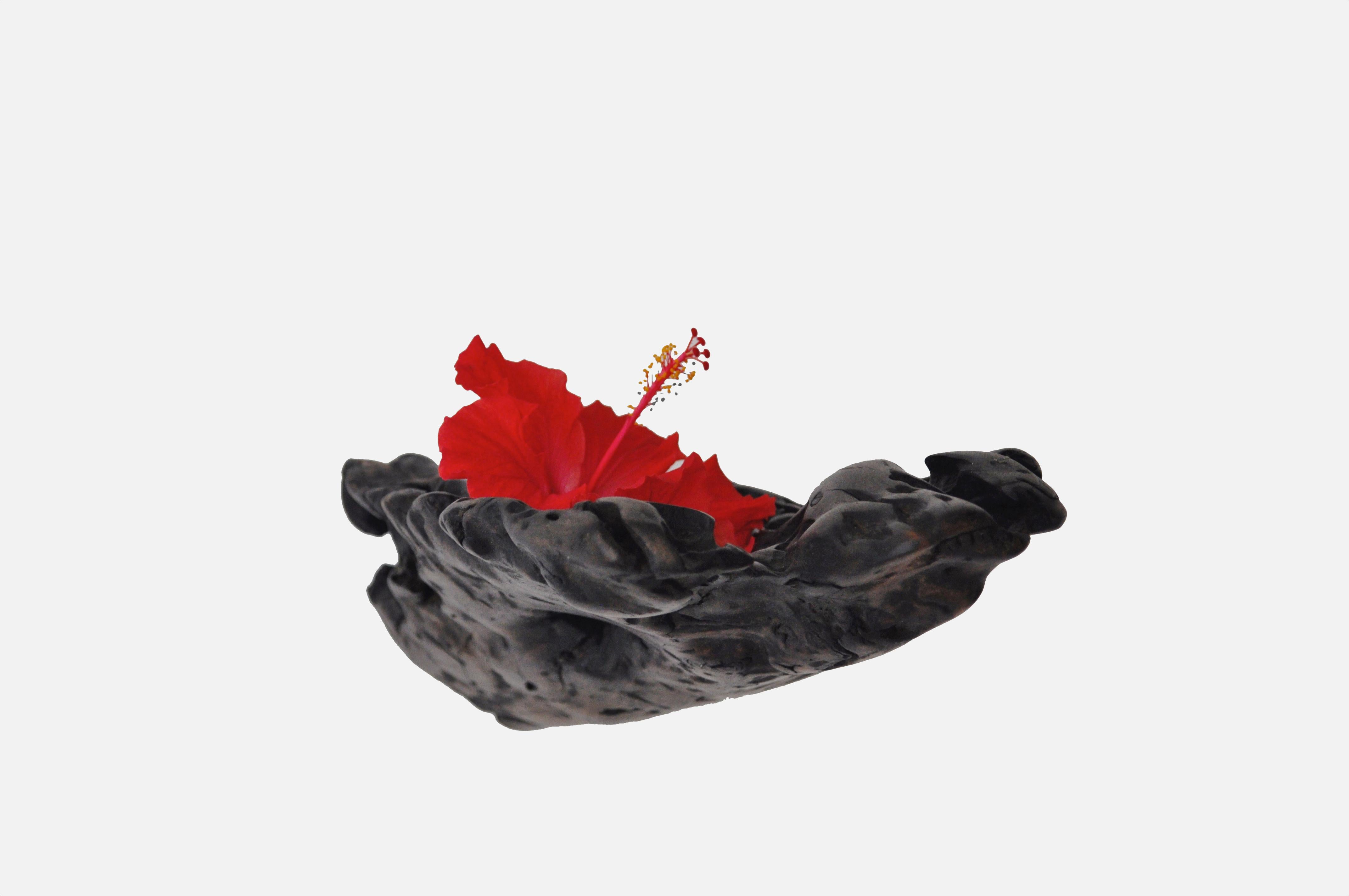 W2280 Wall Hanging Shelf in Trop. Driftwood by Jörg Pietschmann For Sale 6