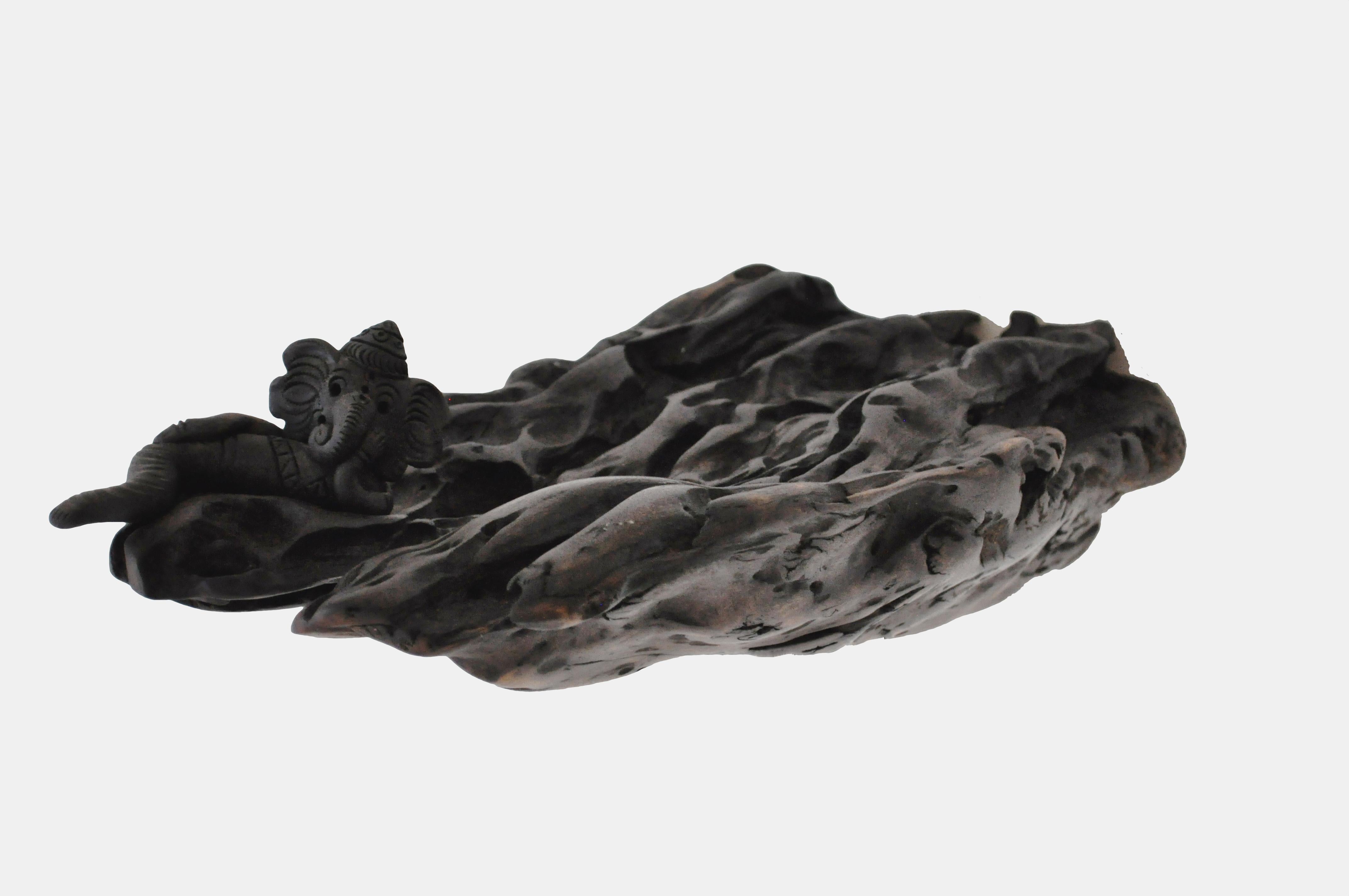 W2280 Wall Hanging Shelf in Trop. Driftwood by Jörg Pietschmann
Dimensions: D 21 x W 44 x H 14 cm.
Materials: Driftwood.

In Pietschmann’s sculptures, trees that for centuries were part of a landscape and founded in primordial forces tell stories
