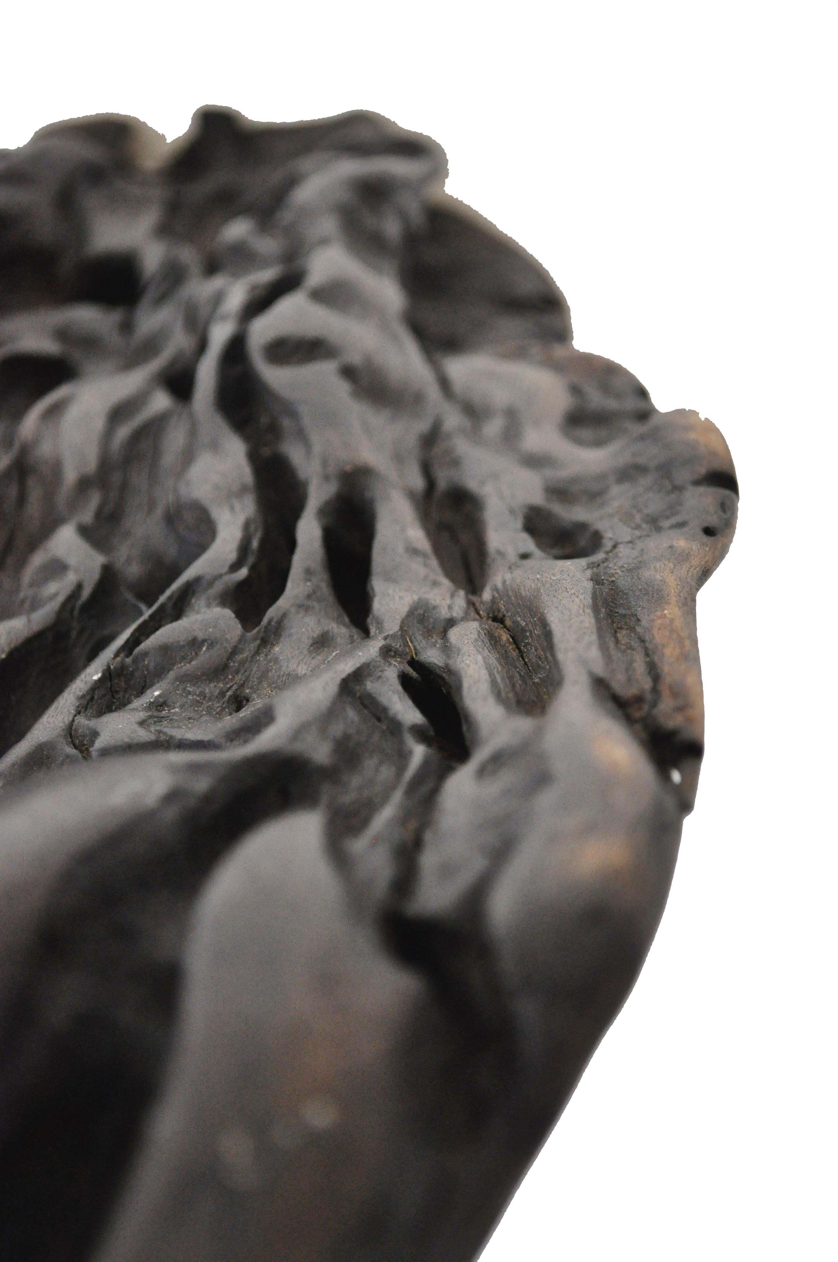 Post-Modern W2280 Wall Hanging Shelf in Trop. Driftwood by Jörg Pietschmann For Sale